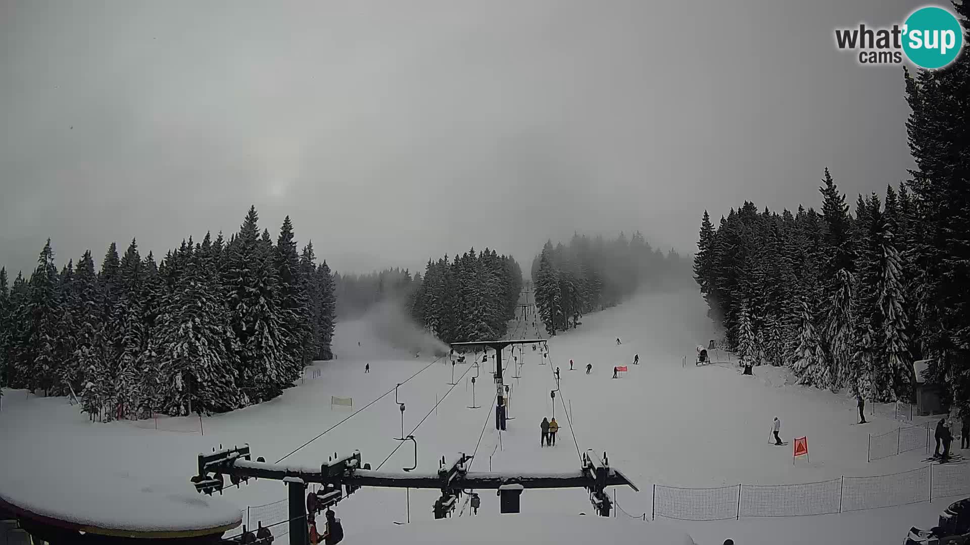 Comprensorio sciistico Rogla Webcam live Ostruščica piste 1 e 2