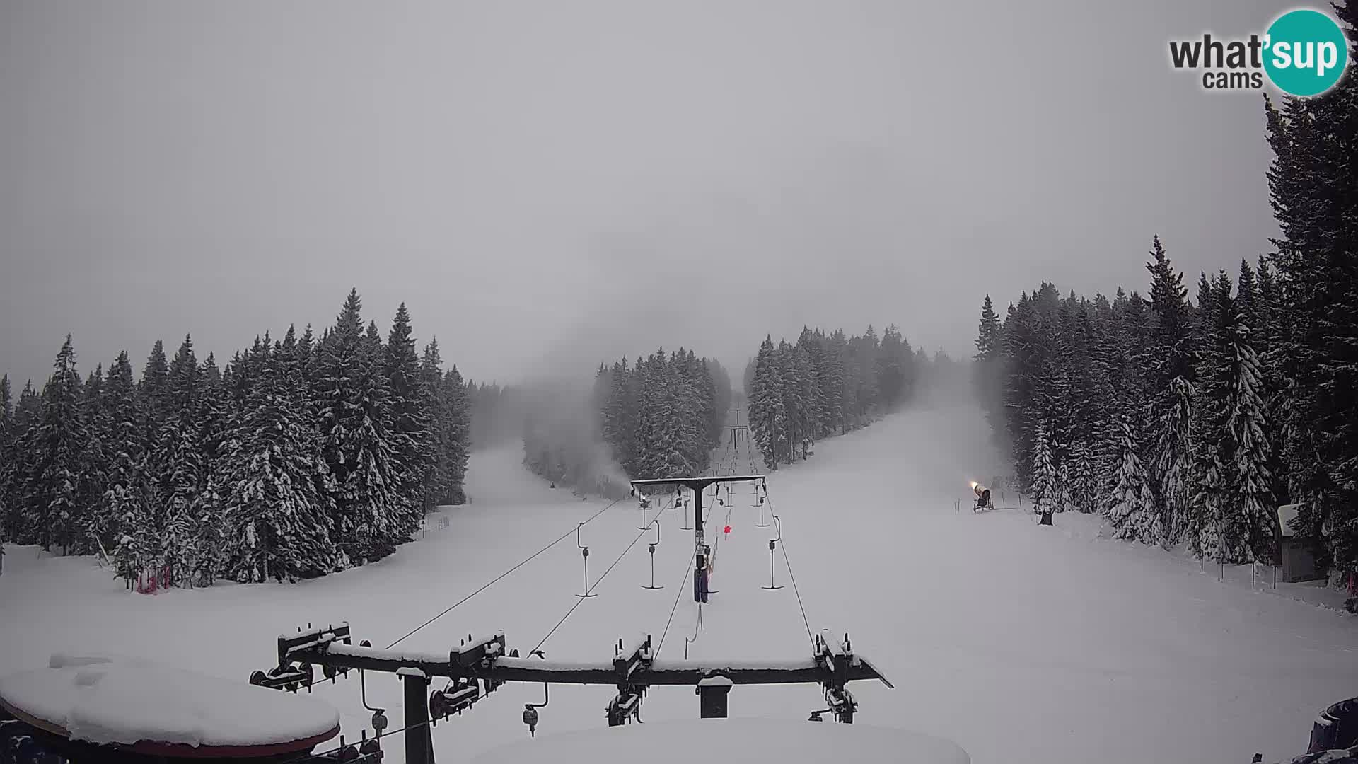 Station de ski Rogla Webcam Ostruščica pistes 1 et 2