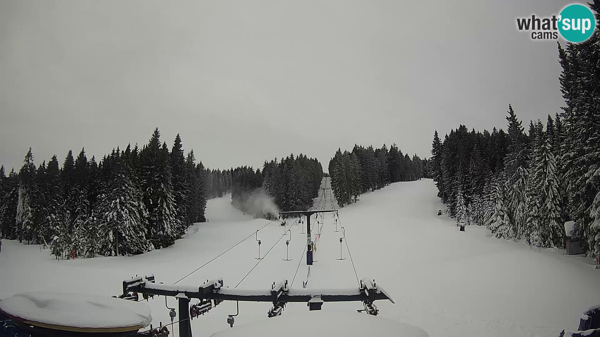 Station de ski Rogla Webcam Ostruščica pistes 1 et 2