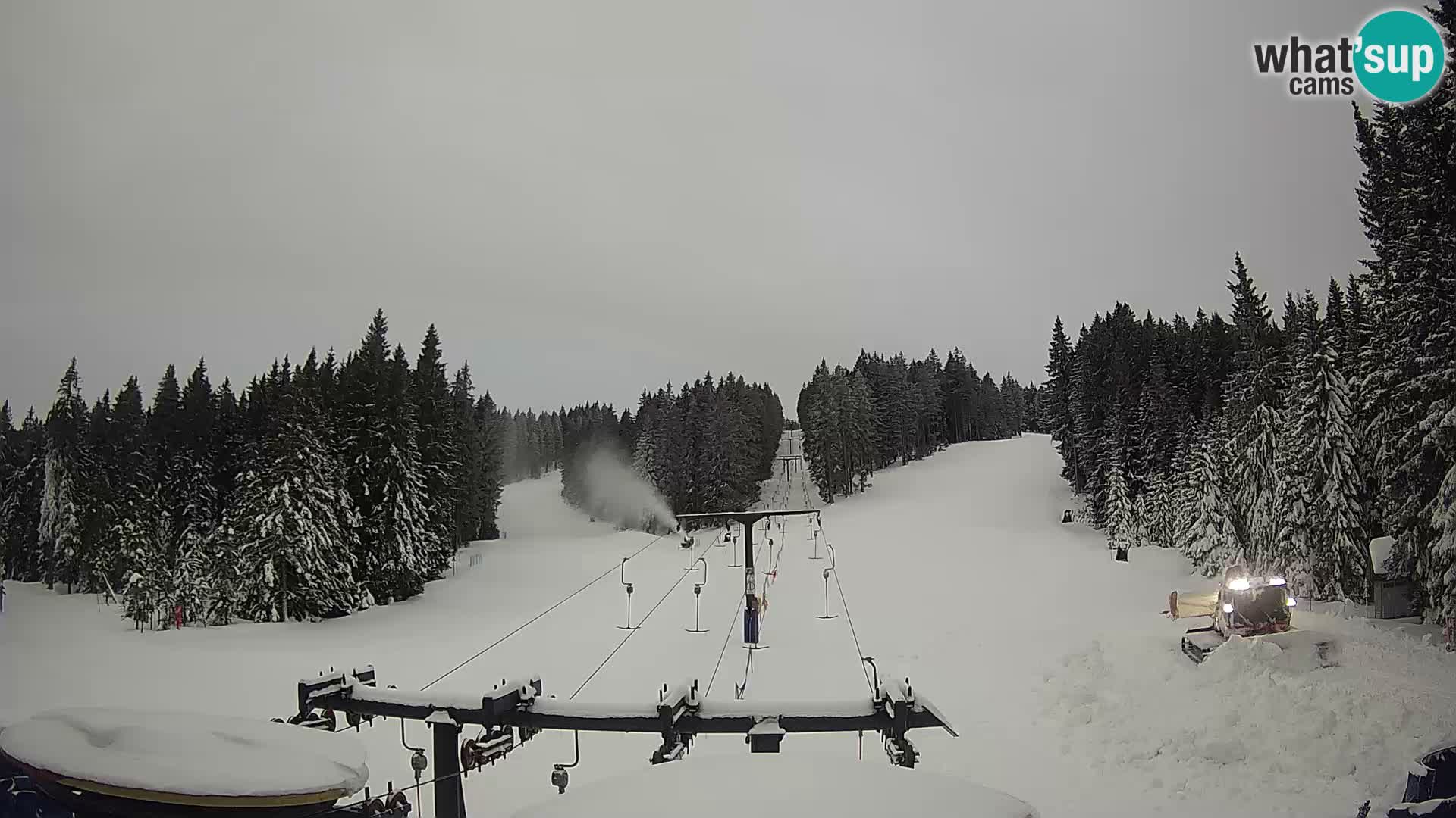 Estación de esquí Rogla Webcam Ostruščica pistas 1 y 2