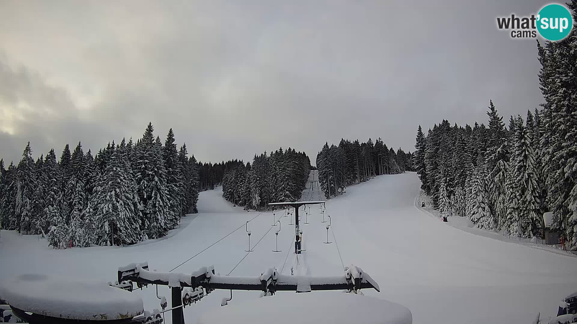 Skigebiet Rogla Webcam Ostruščica Piste 1 und 2