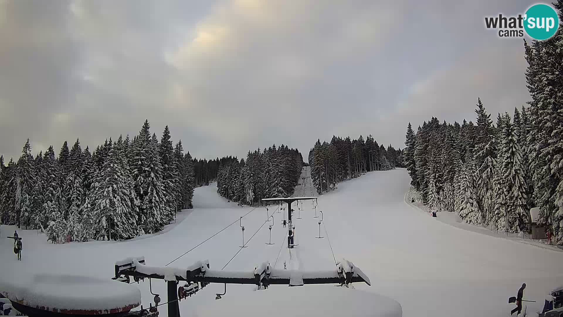 Estación de esquí Rogla Webcam Ostruščica pistas 1 y 2