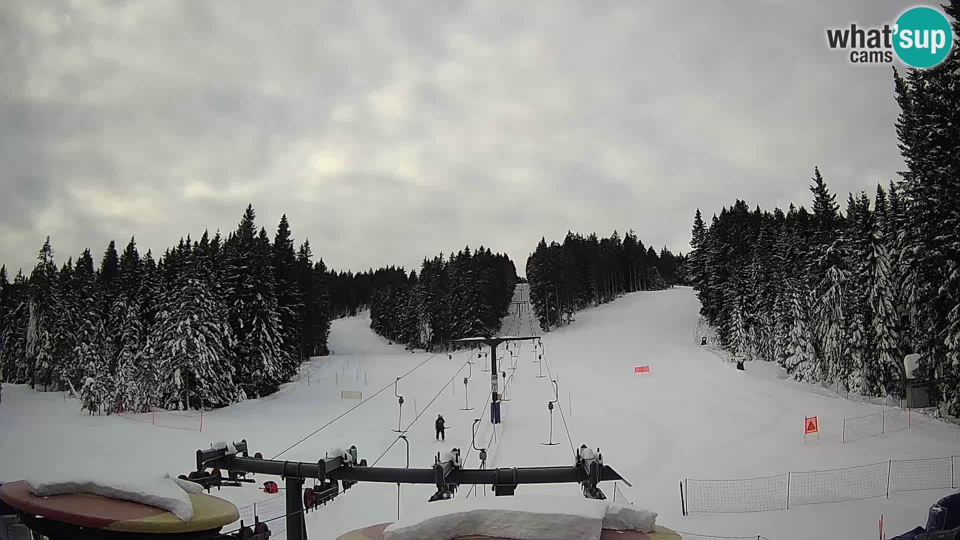 Skigebiet Rogla Webcam Ostruščica Piste 1 und 2