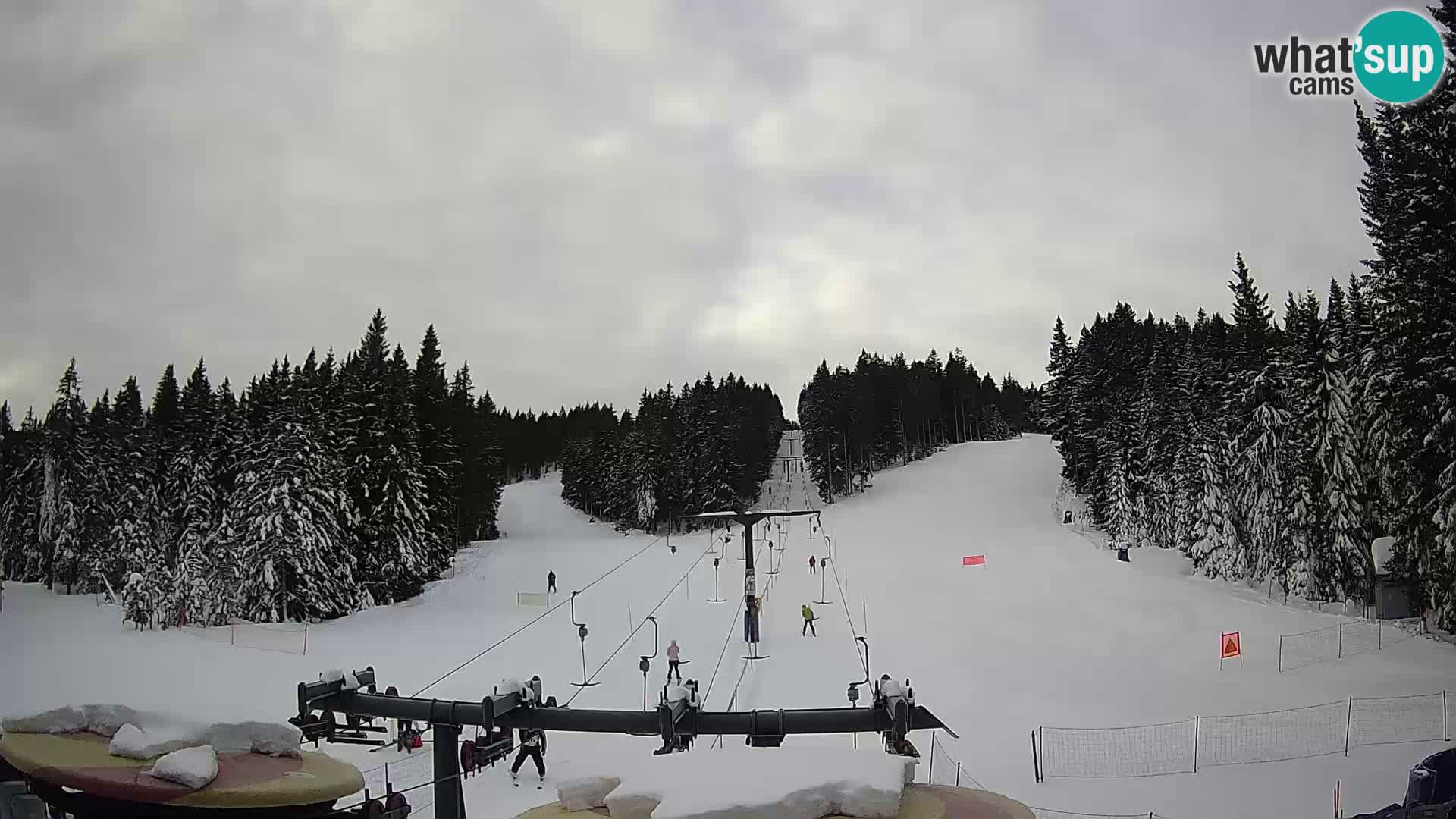 Comprensorio sciistico Rogla Webcam live Ostruščica piste 1 e 2