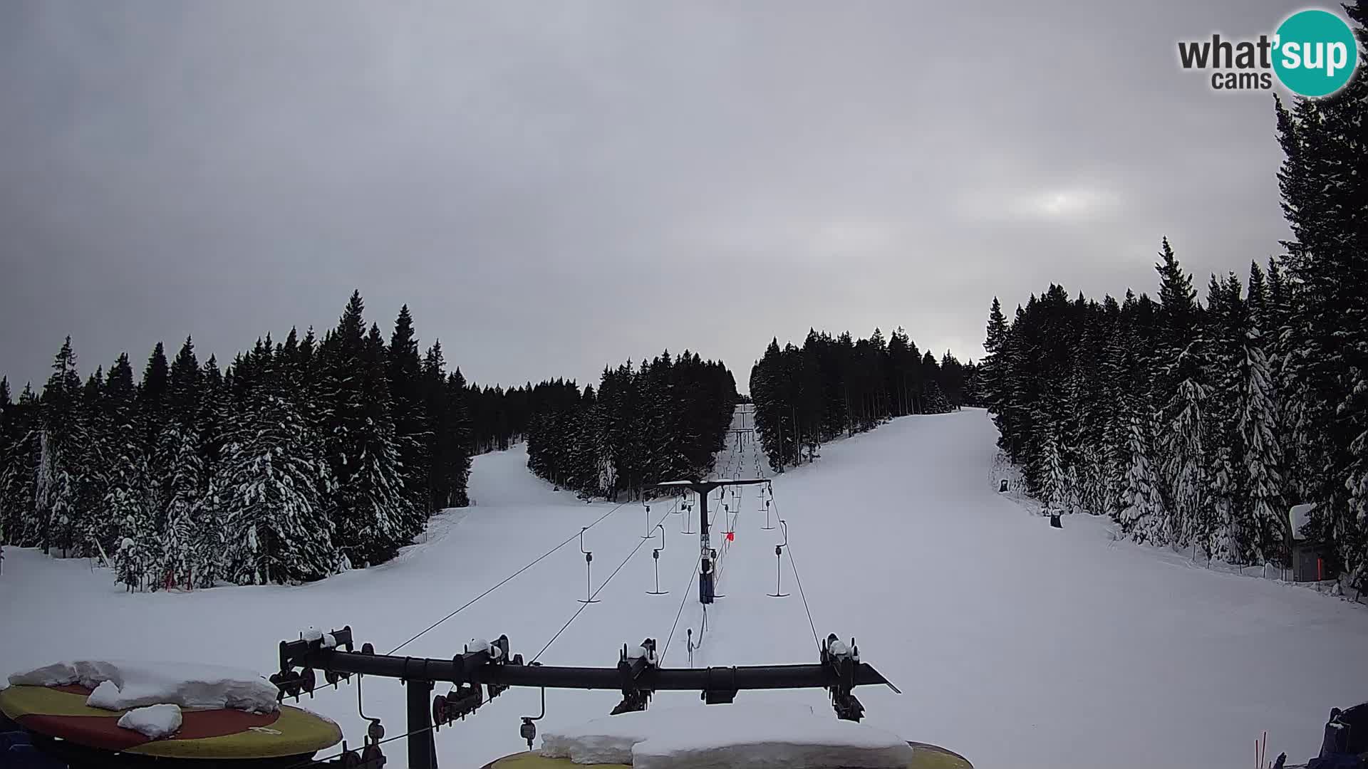 Estación de esquí Rogla Webcam Ostruščica pistas 1 y 2