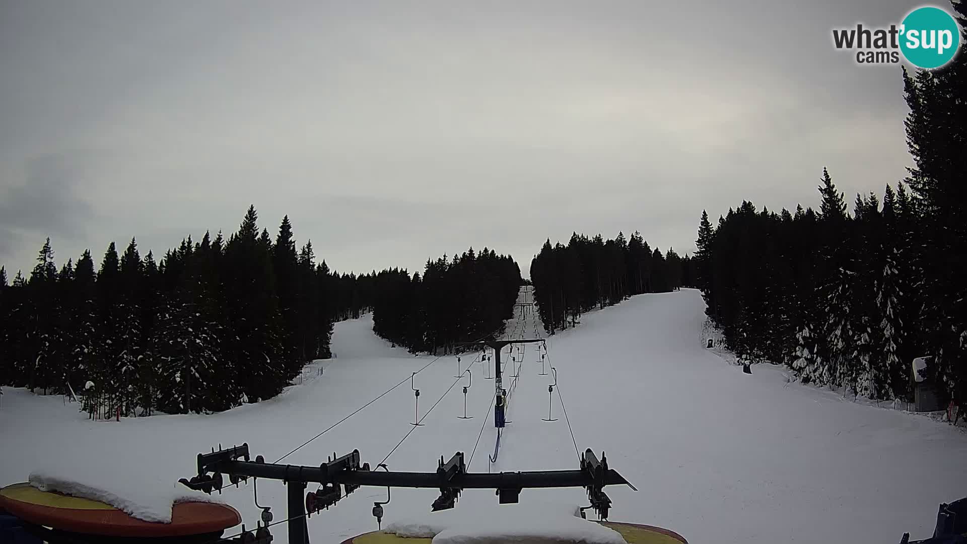 Estación de esquí Rogla Webcam Ostruščica pistas 1 y 2