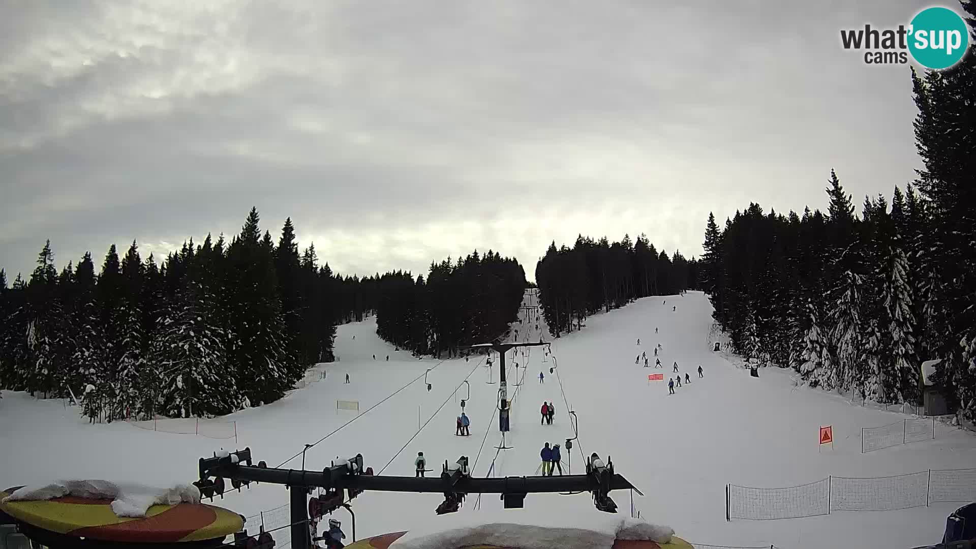 Webcam Live Rogla ski resort – Ostruščica