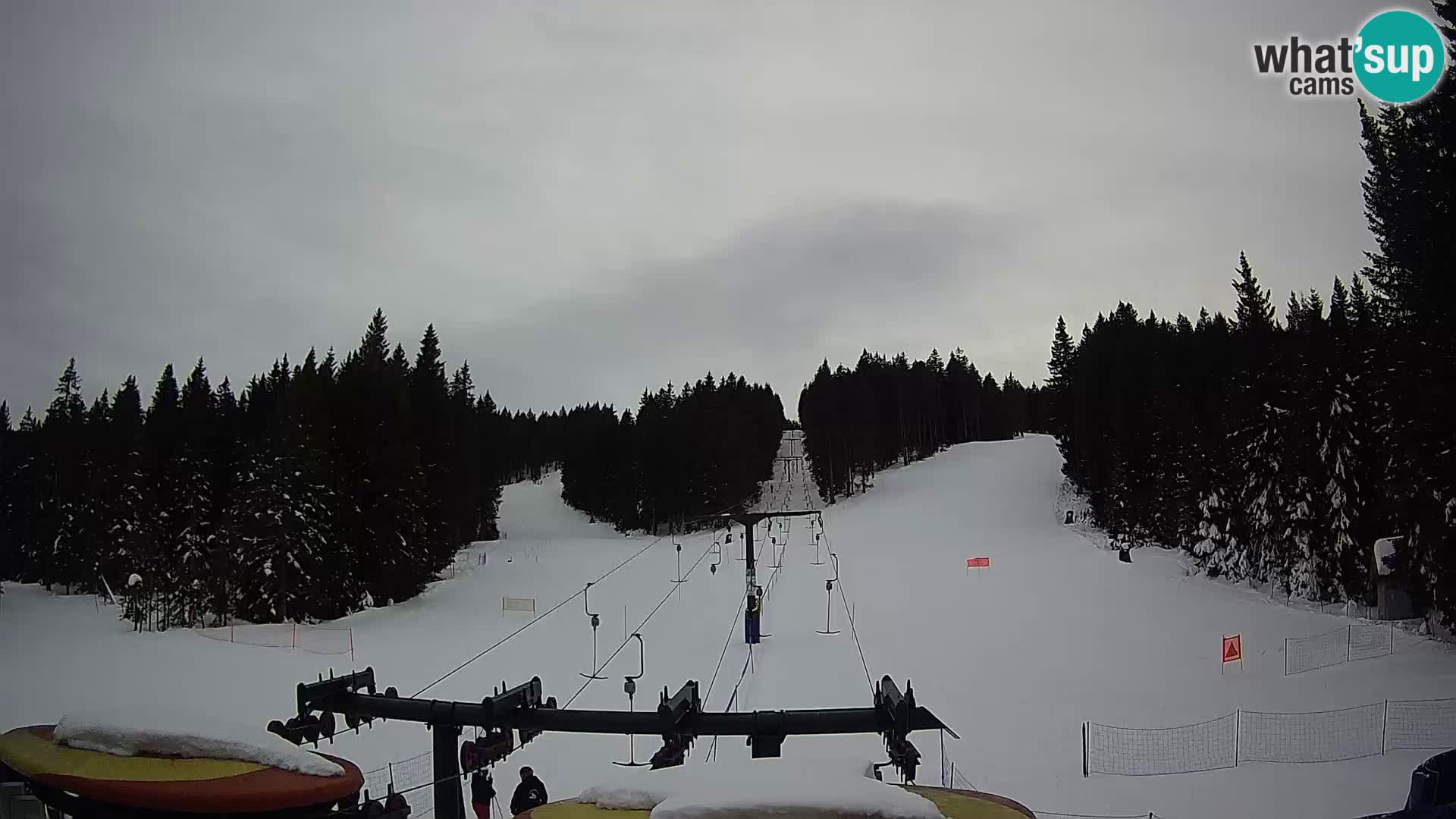 Webcam Live Rogla ski resort – Ostruščica