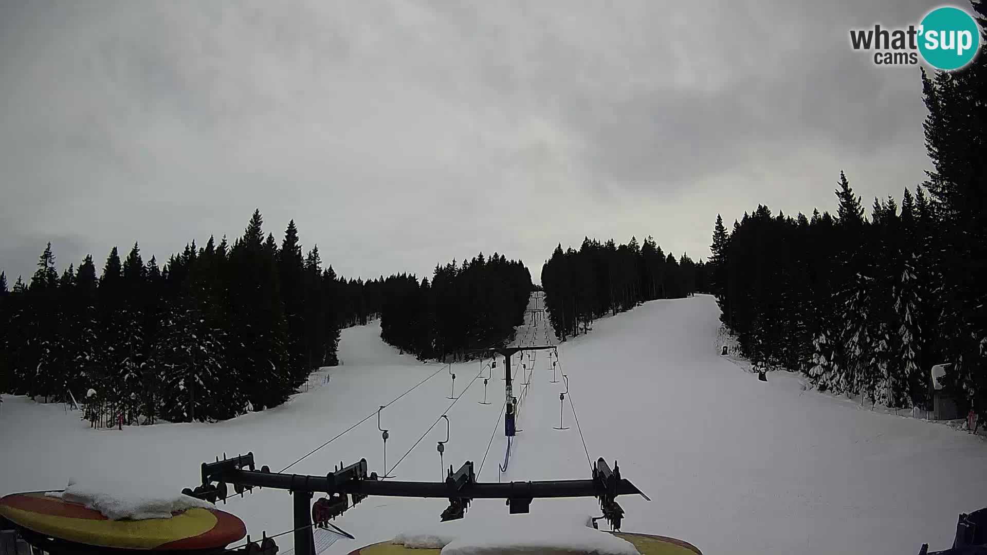 Webcam Live Rogla ski resort – Ostruščica