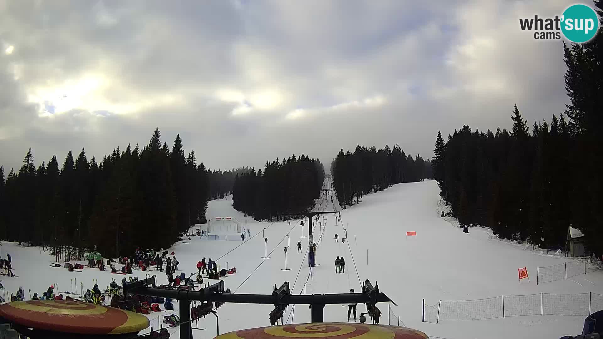 Station de ski Rogla Webcam Ostruščica pistes 1 et 2