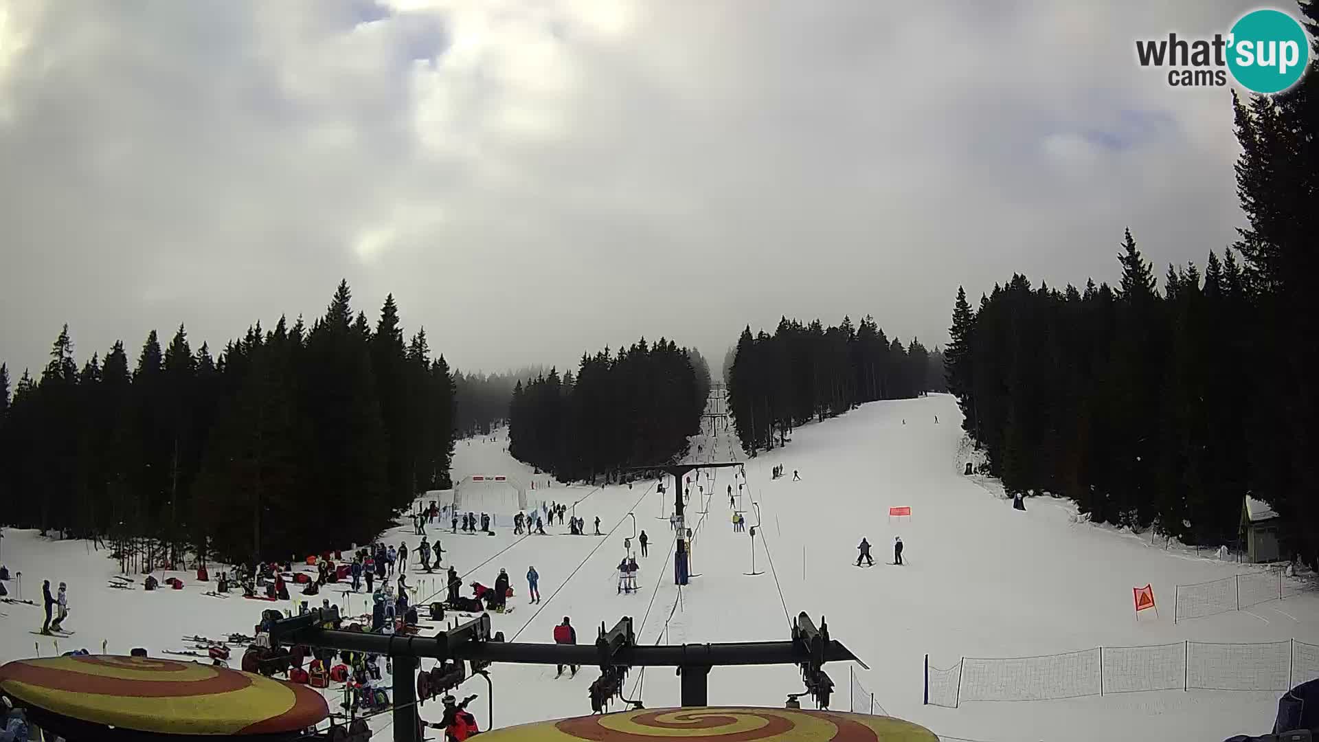 Station de ski Rogla Webcam Ostruščica pistes 1 et 2