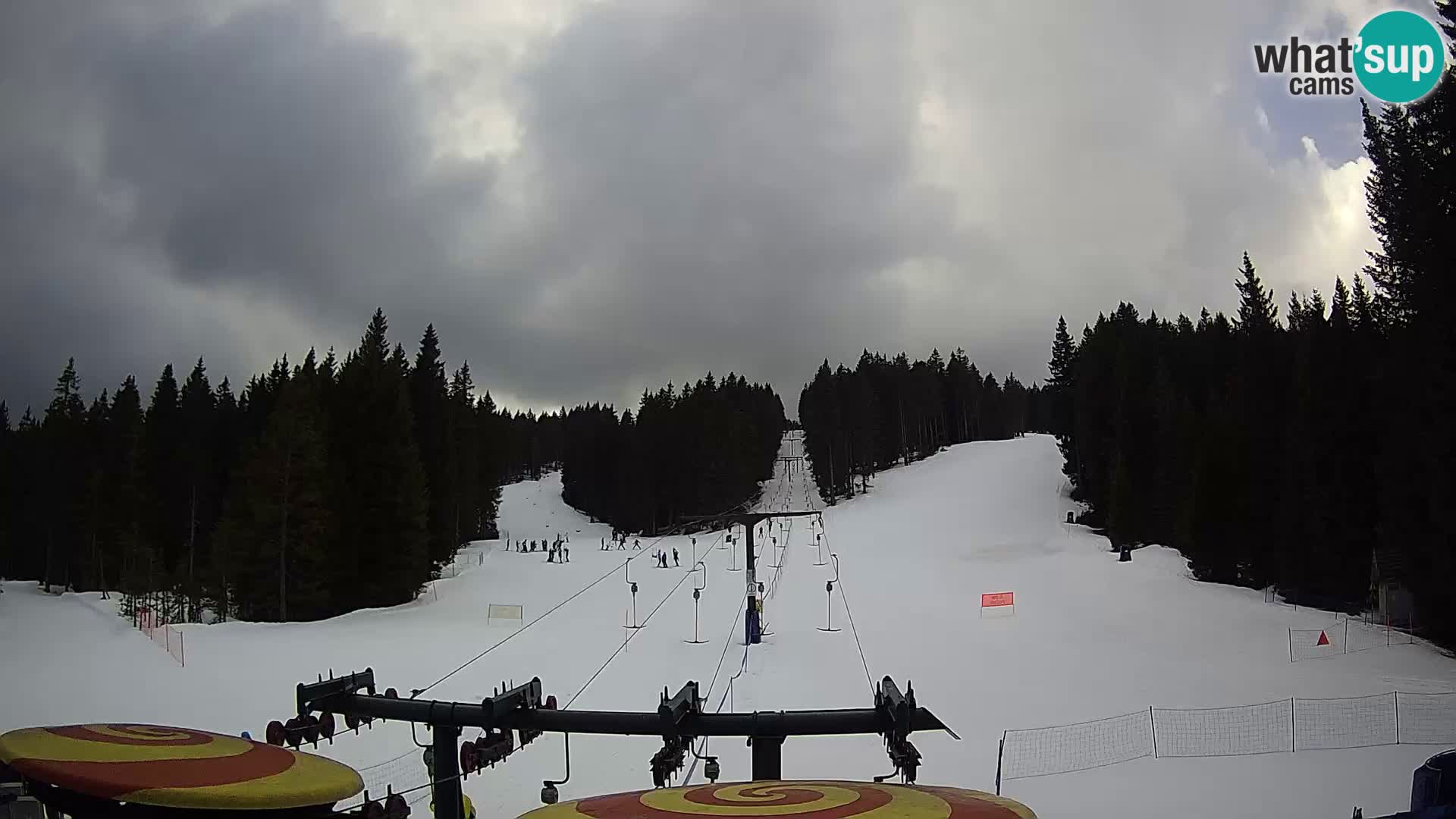 Station de ski Rogla Webcam Ostruščica pistes 1 et 2