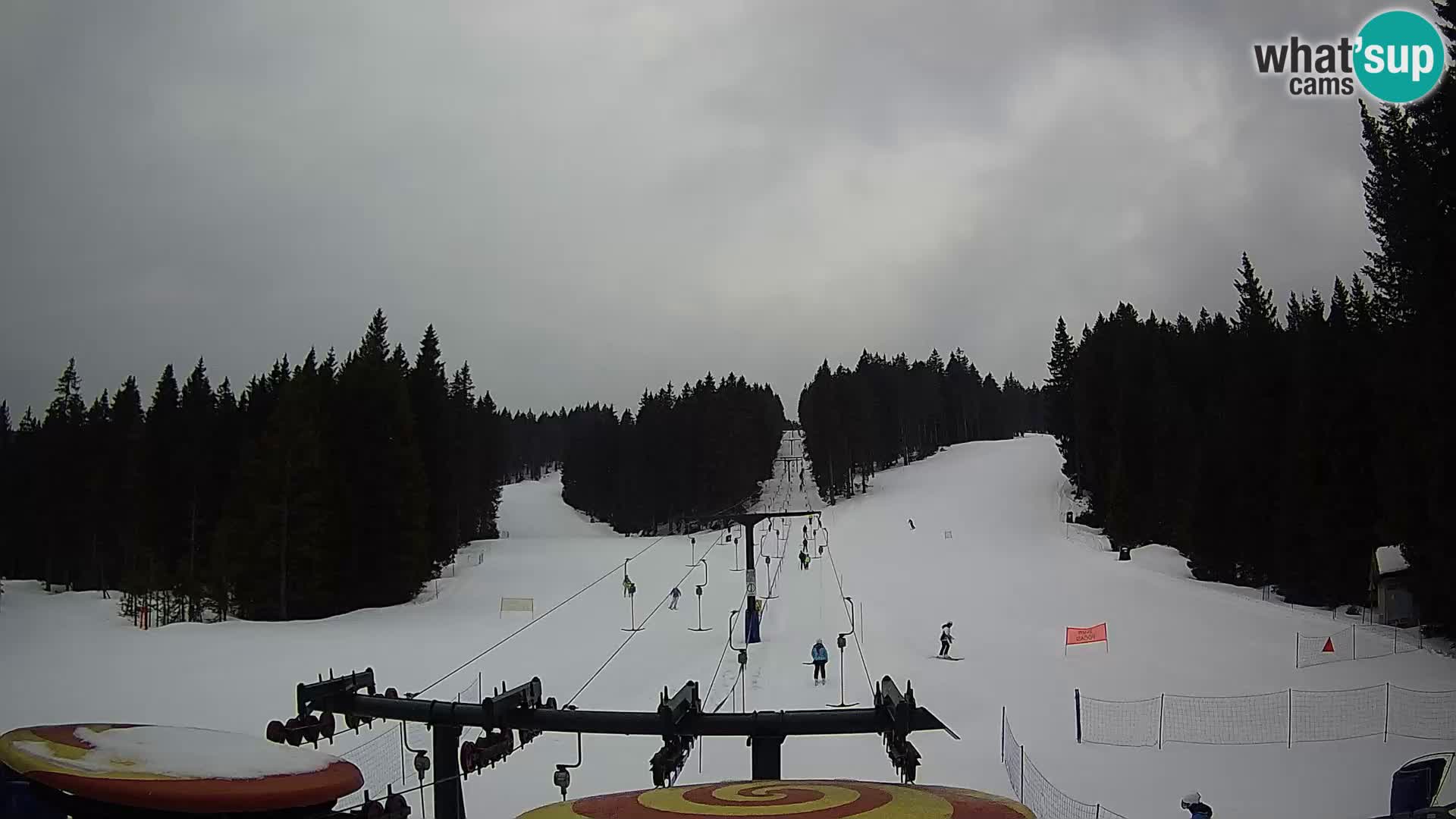 Station de ski Rogla Webcam Ostruščica pistes 1 et 2