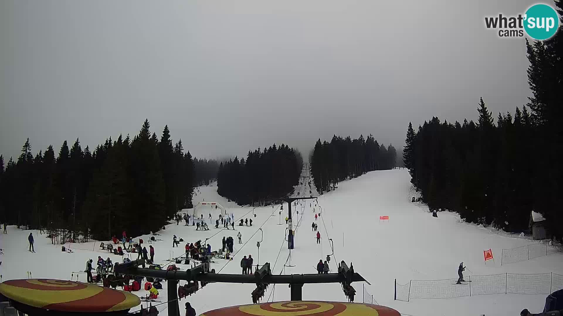 Station de ski Rogla Webcam Ostruščica pistes 1 et 2