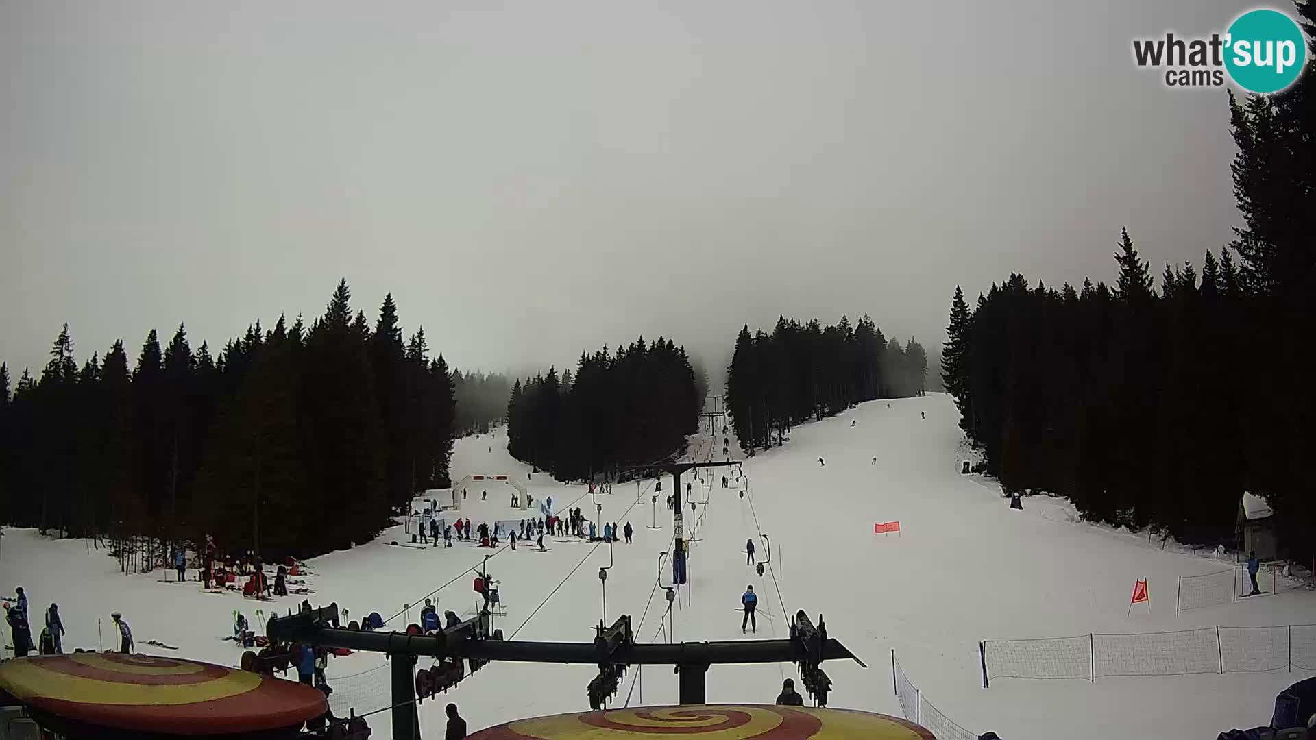 Comprensorio sciistico Rogla Webcam live Ostruščica piste 1 e 2