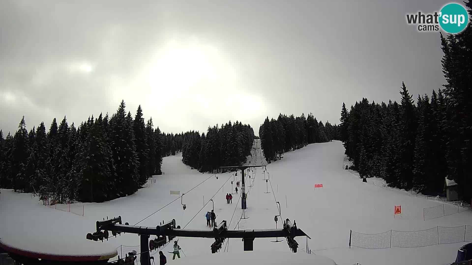 Estación de esquí Rogla Webcam Ostruščica pistas 1 y 2