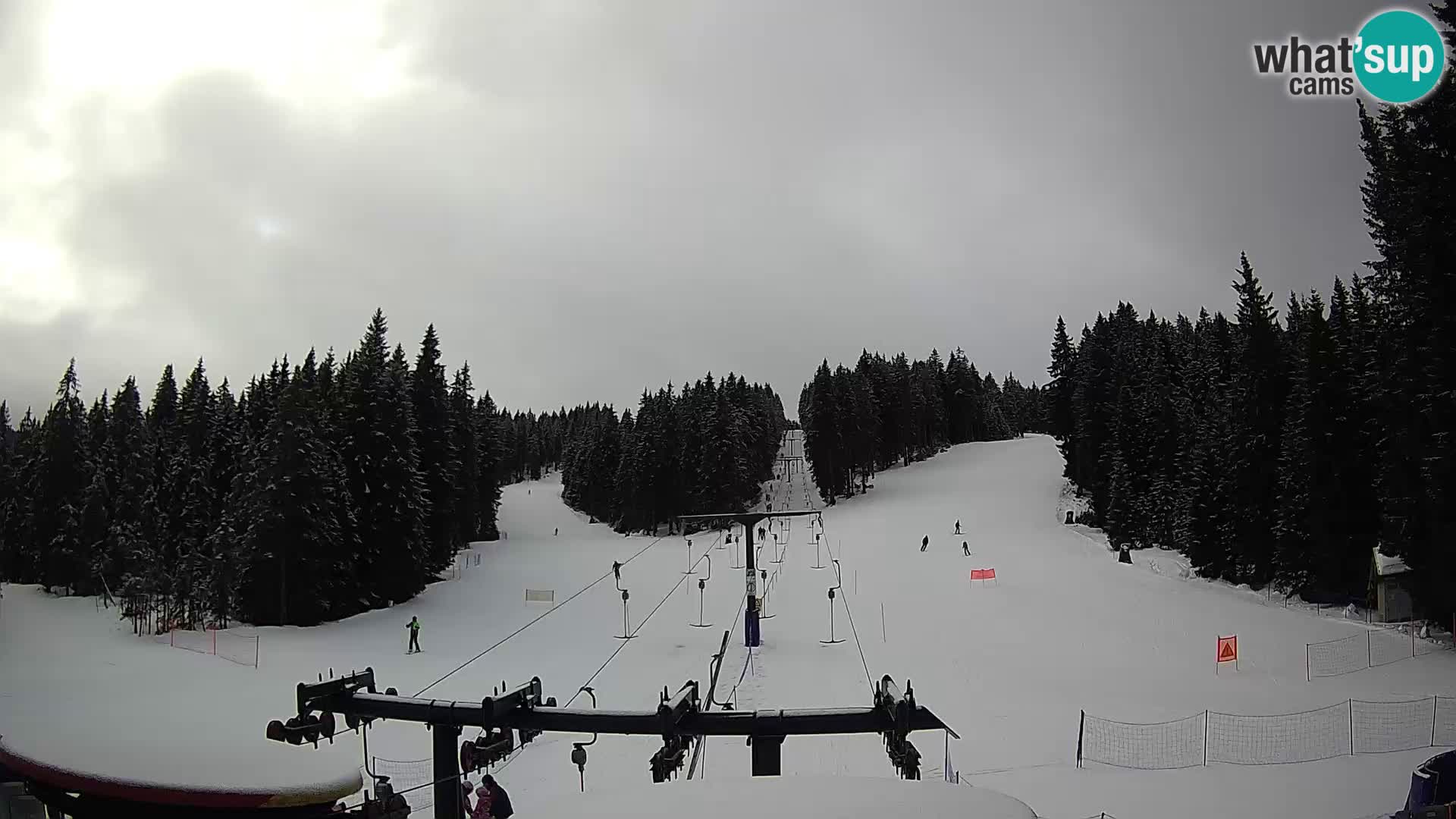 Comprensorio sciistico Rogla Webcam live Ostruščica piste 1 e 2
