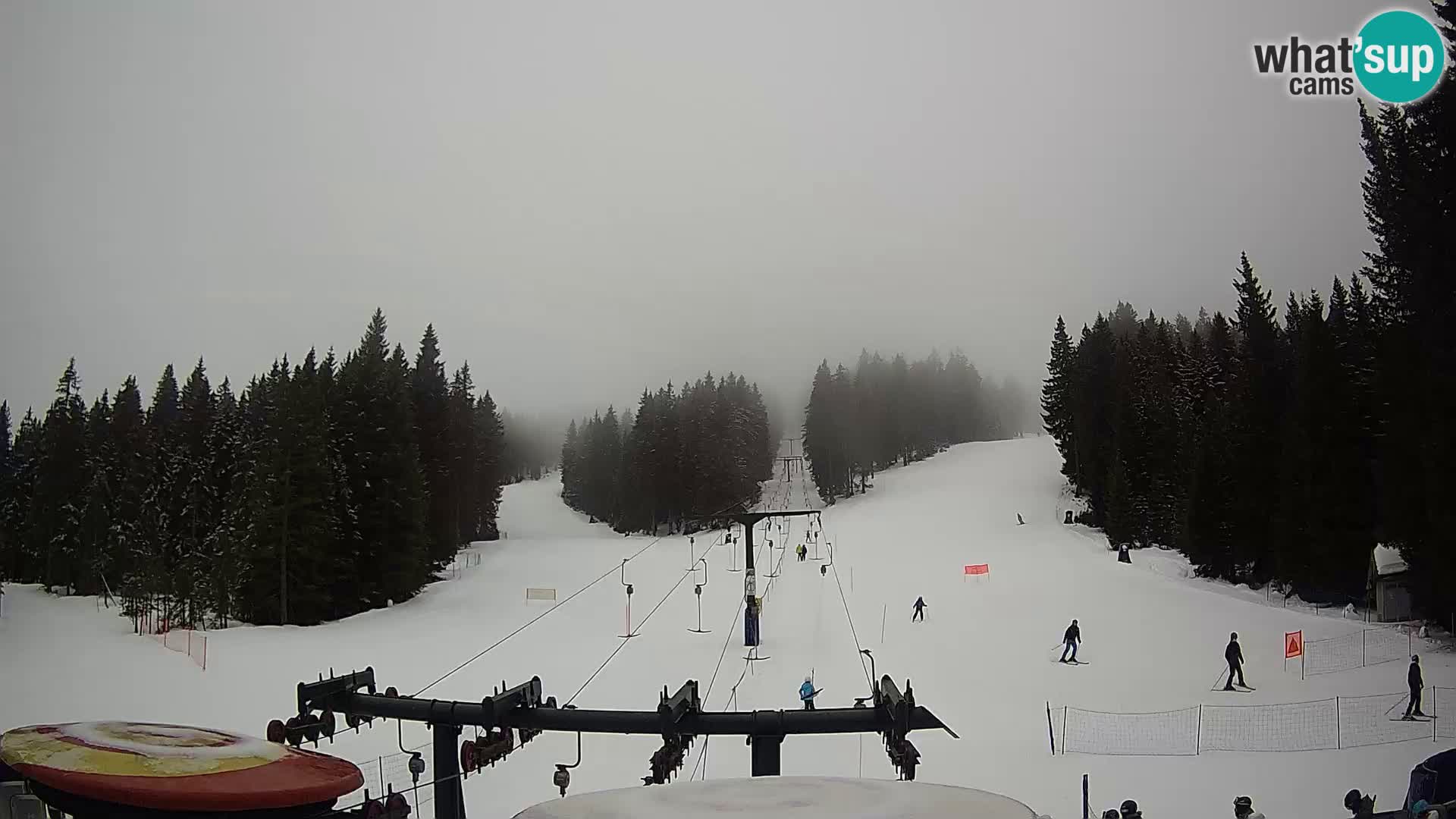 Webcam Live Rogla ski resort – Ostruščica