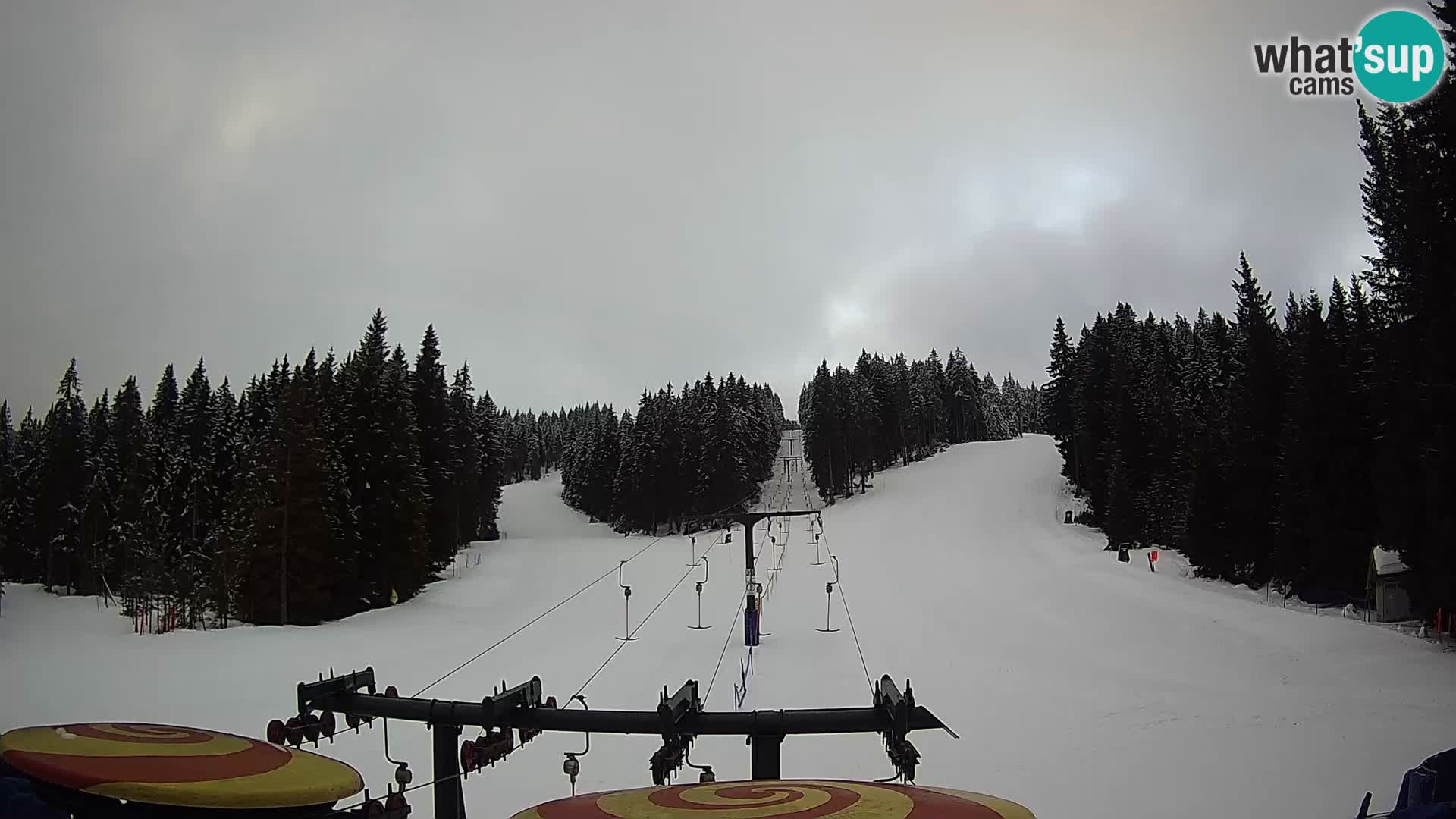 Estación de esquí Rogla Webcam Ostruščica pistas 1 y 2