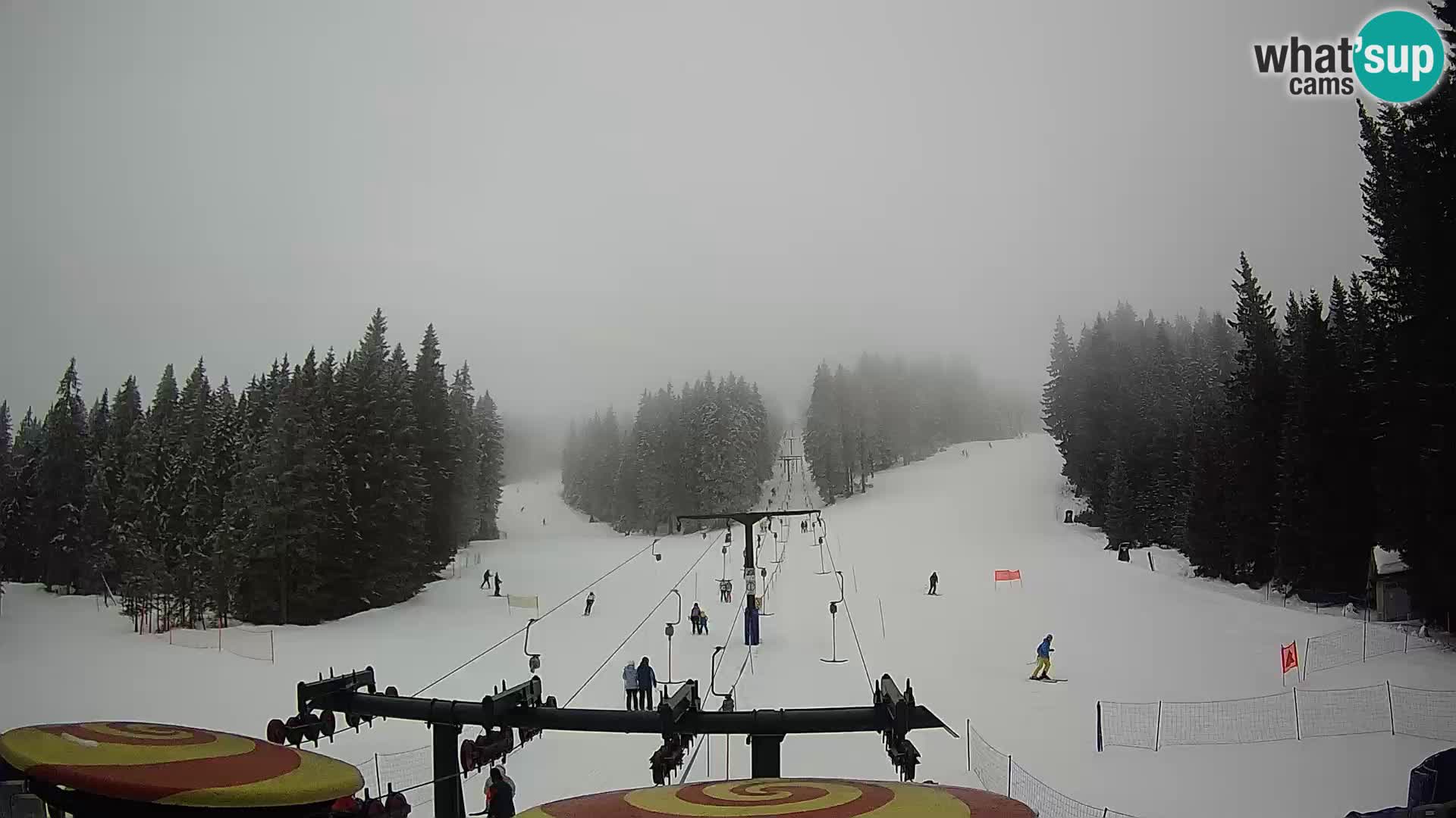 Comprensorio sciistico Rogla Webcam live Ostruščica piste 1 e 2