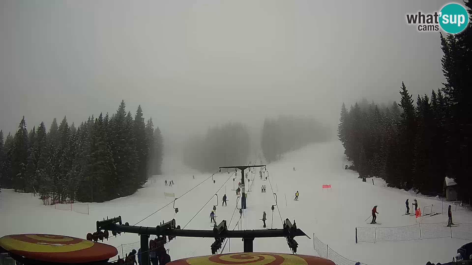 Comprensorio sciistico Rogla Webcam live Ostruščica piste 1 e 2