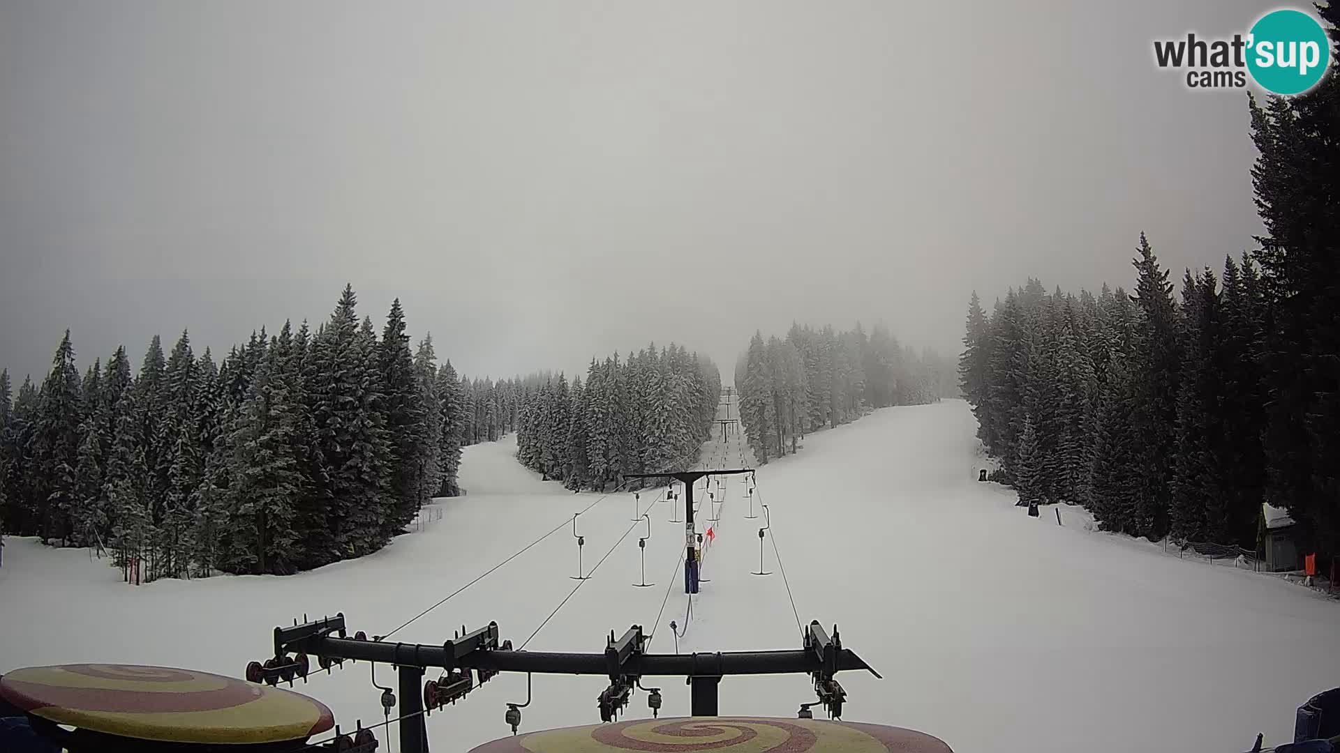 Webcam Live Rogla ski resort – Ostruščica