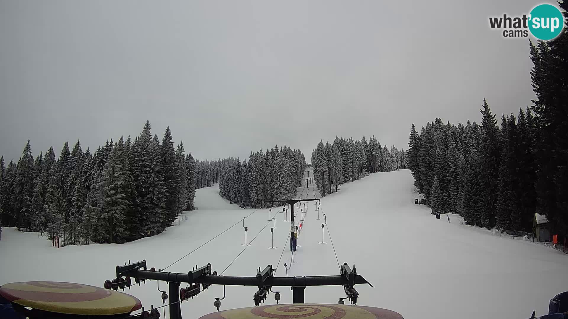 Webcam Live Rogla ski resort – Ostruščica