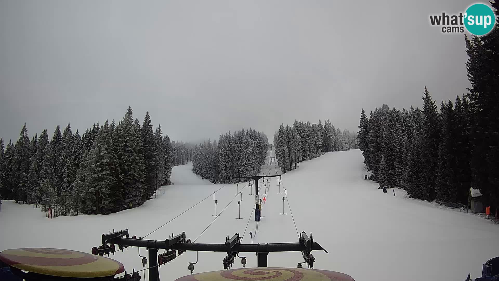 Station de ski Rogla Webcam Ostruščica pistes 1 et 2