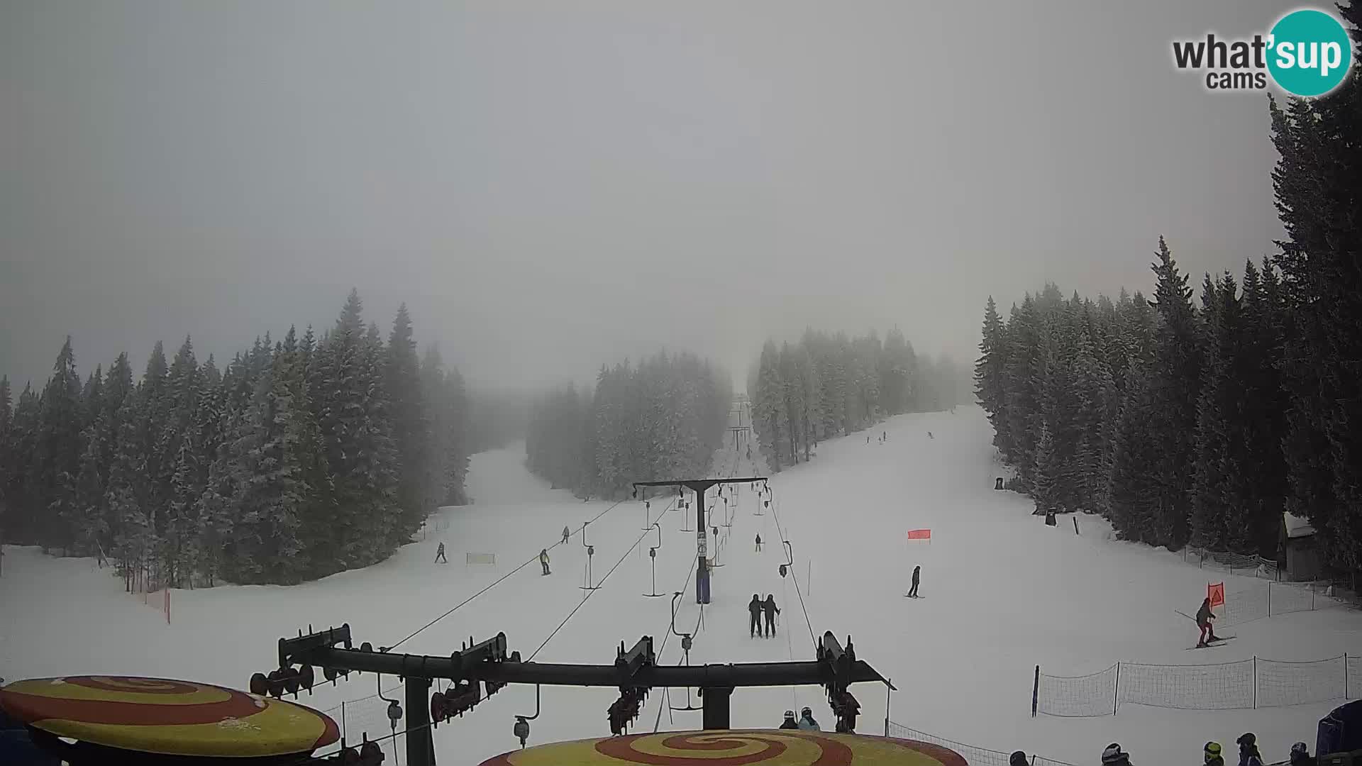 Comprensorio sciistico Rogla Webcam live Ostruščica piste 1 e 2
