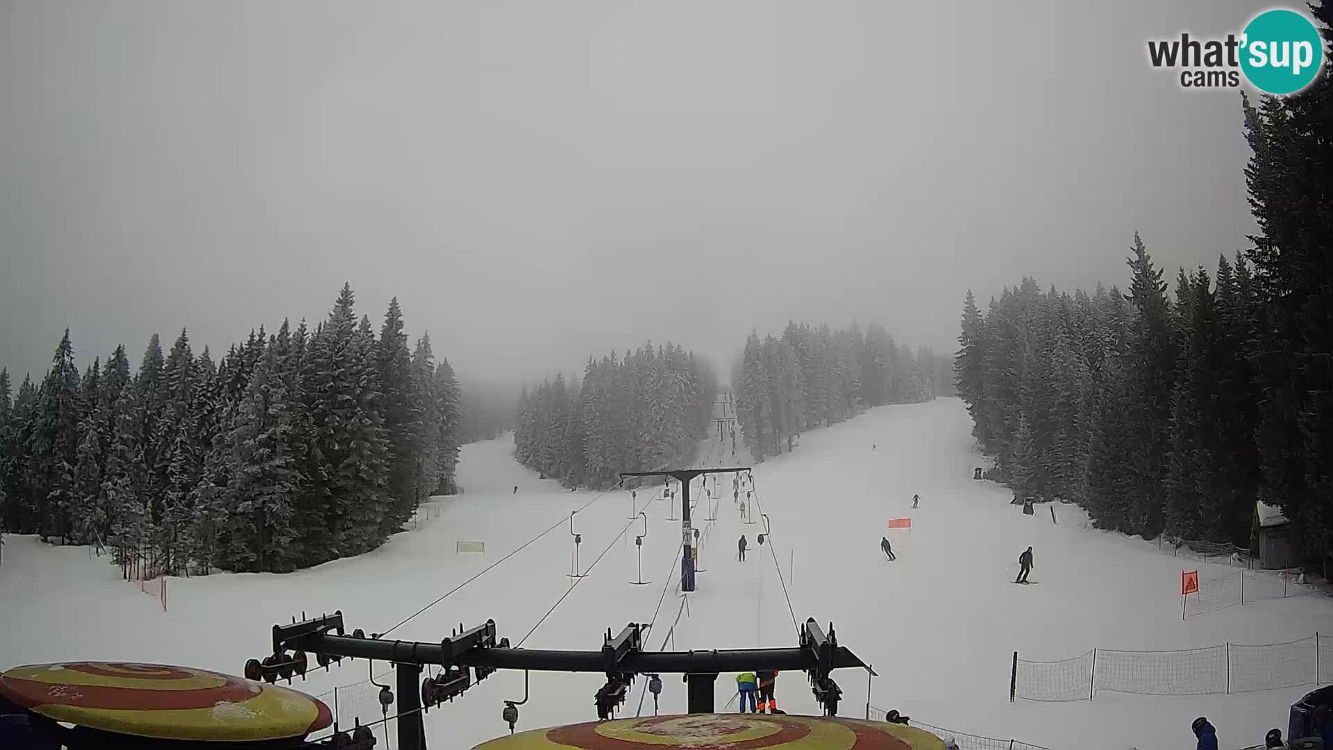 Comprensorio sciistico Rogla Webcam live Ostruščica piste 1 e 2