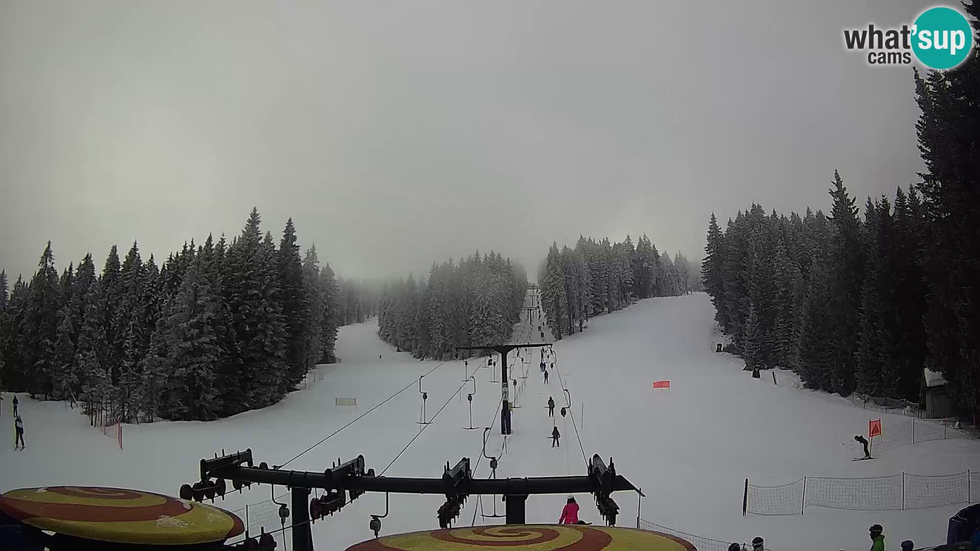 Webcam Live Rogla ski resort – Ostruščica