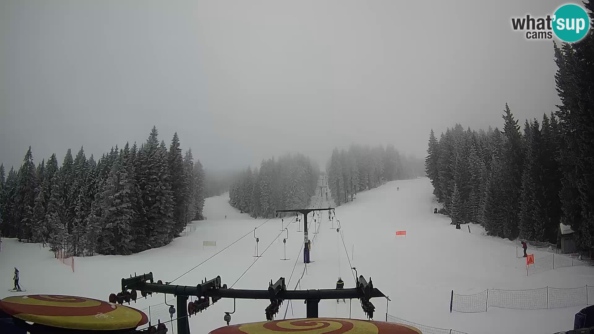 Comprensorio sciistico Rogla Webcam live Ostruščica piste 1 e 2