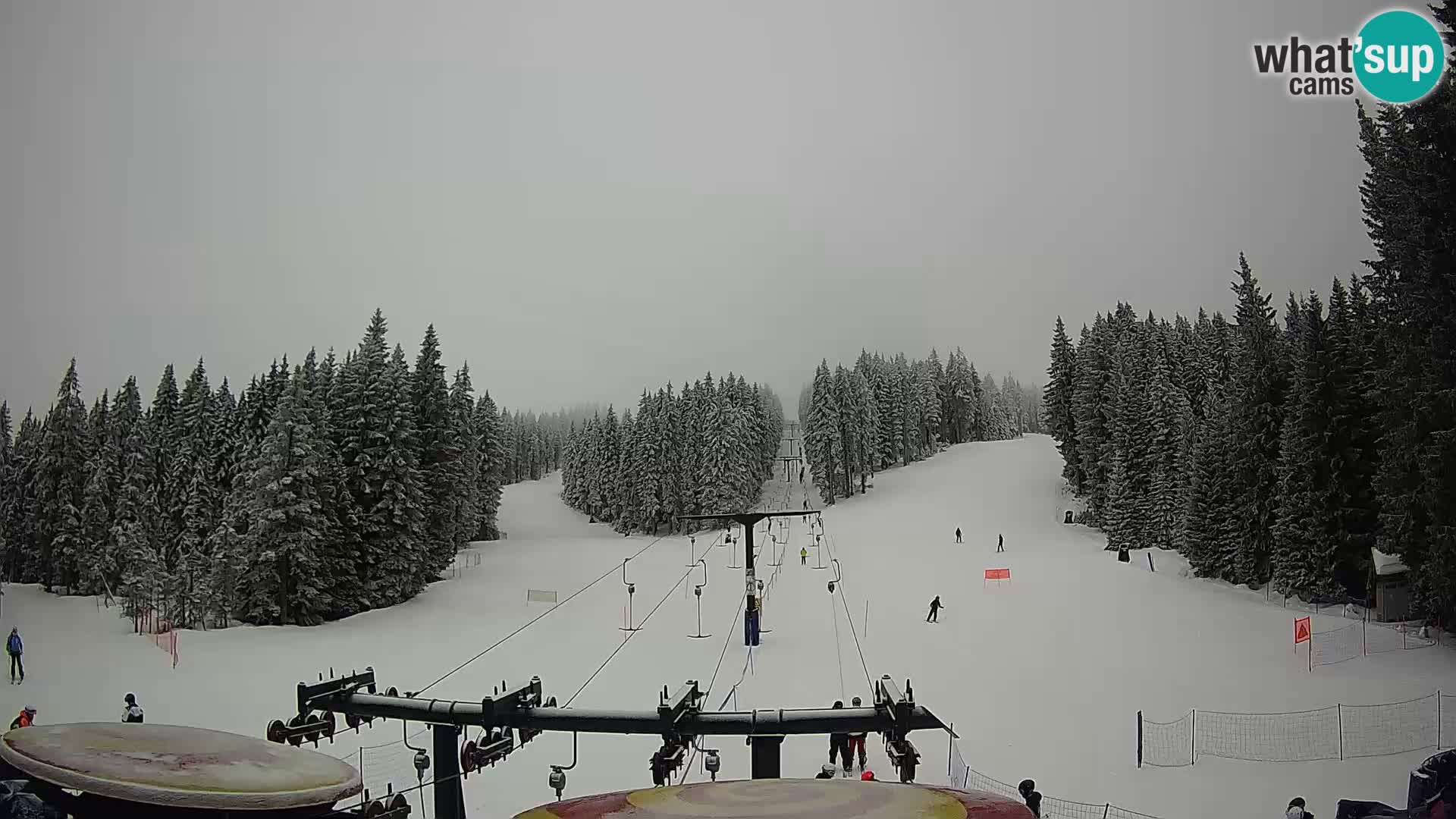 Comprensorio sciistico Rogla Webcam live Ostruščica piste 1 e 2