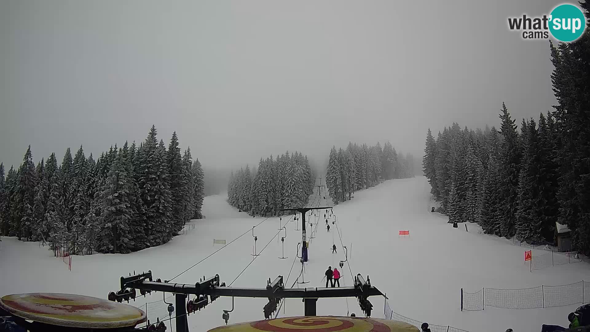 Skigebiet Rogla Webcam Ostruščica Piste 1 und 2