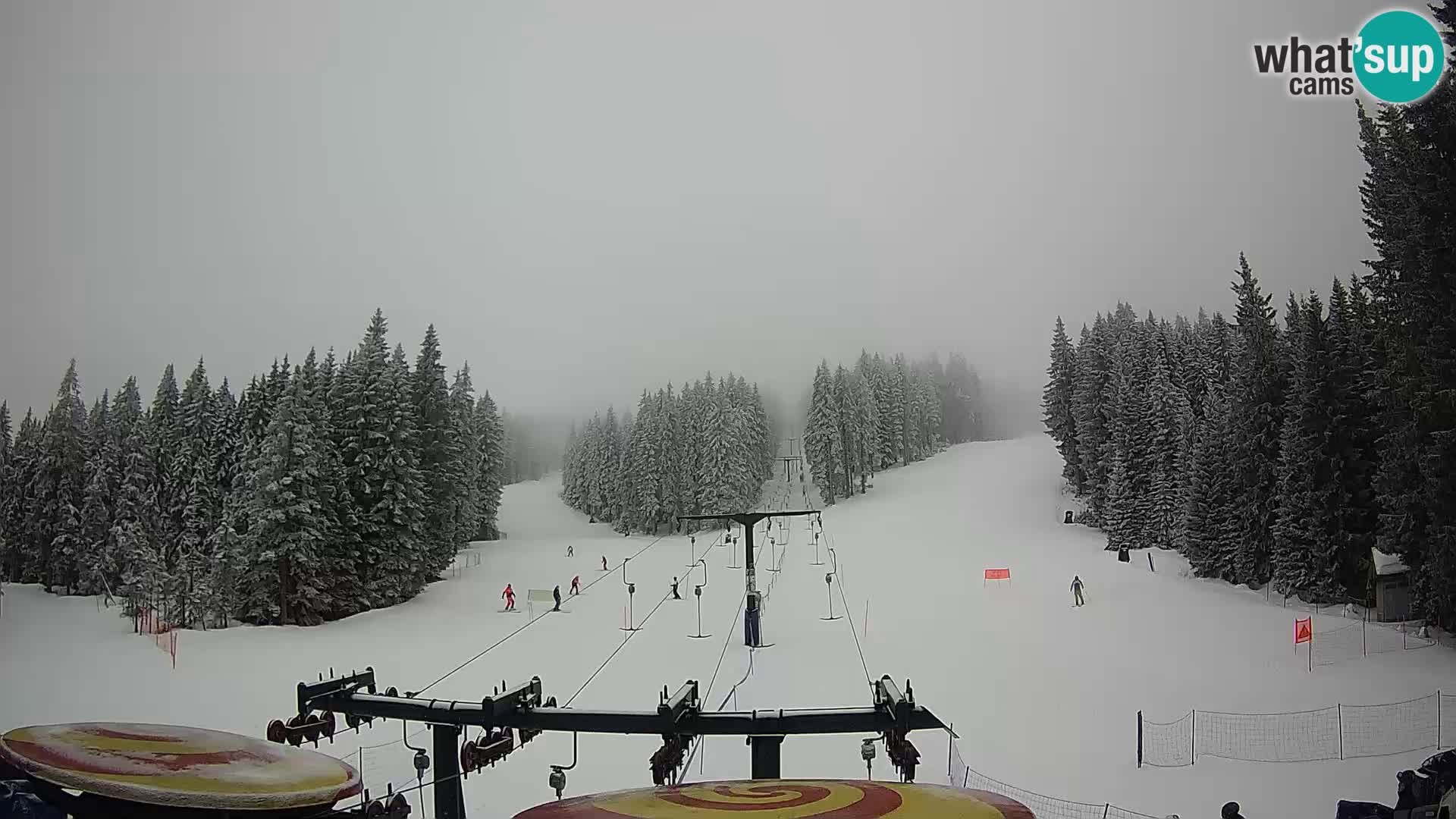 Webcam Live Rogla ski resort – Ostruščica