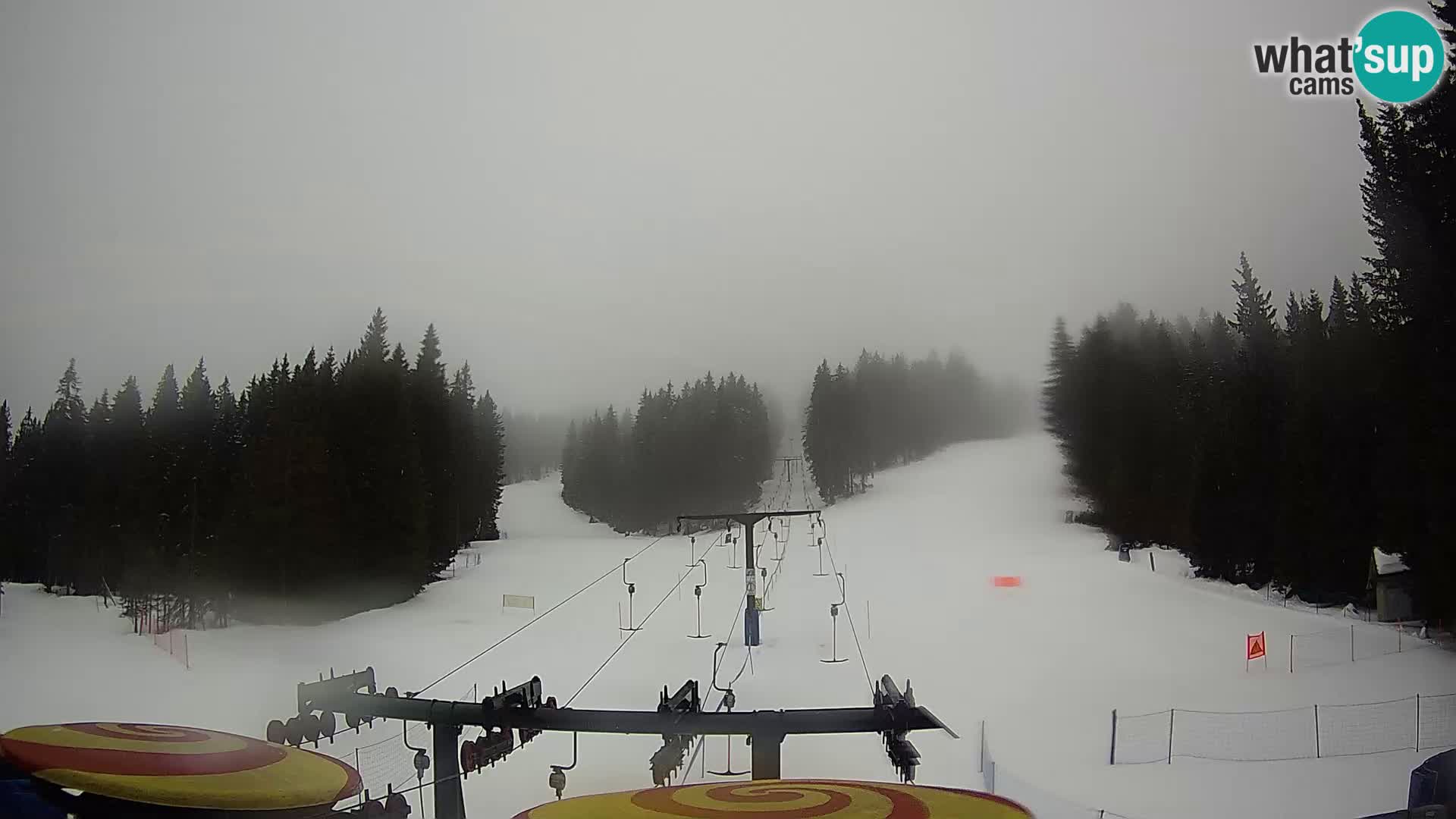 Webcam Live Rogla ski resort – Ostruščica