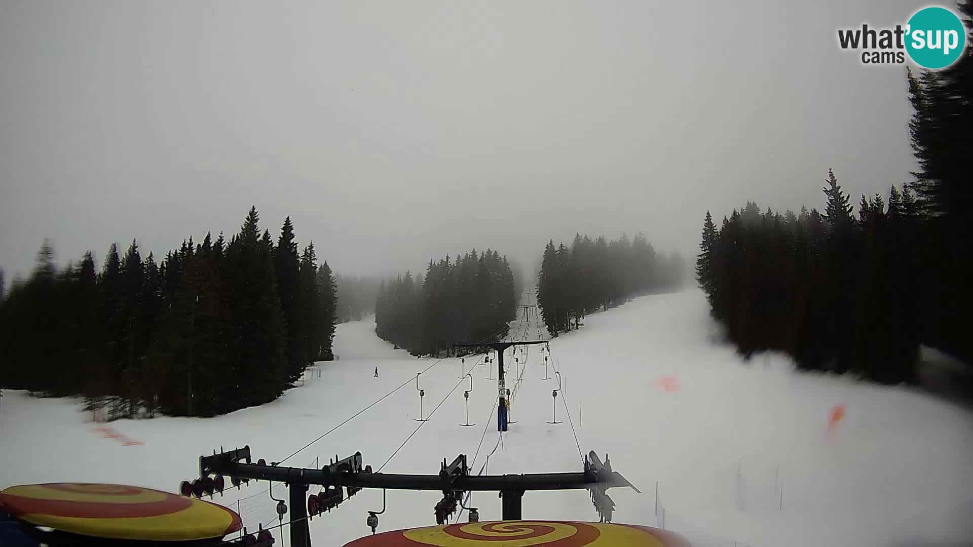 Comprensorio sciistico Rogla Webcam live Ostruščica piste 1 e 2