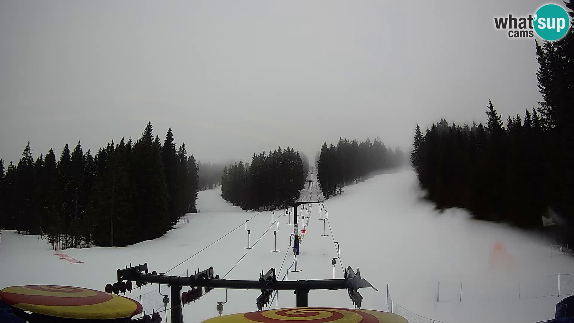 Station de ski Rogla Webcam Ostruščica pistes 1 et 2