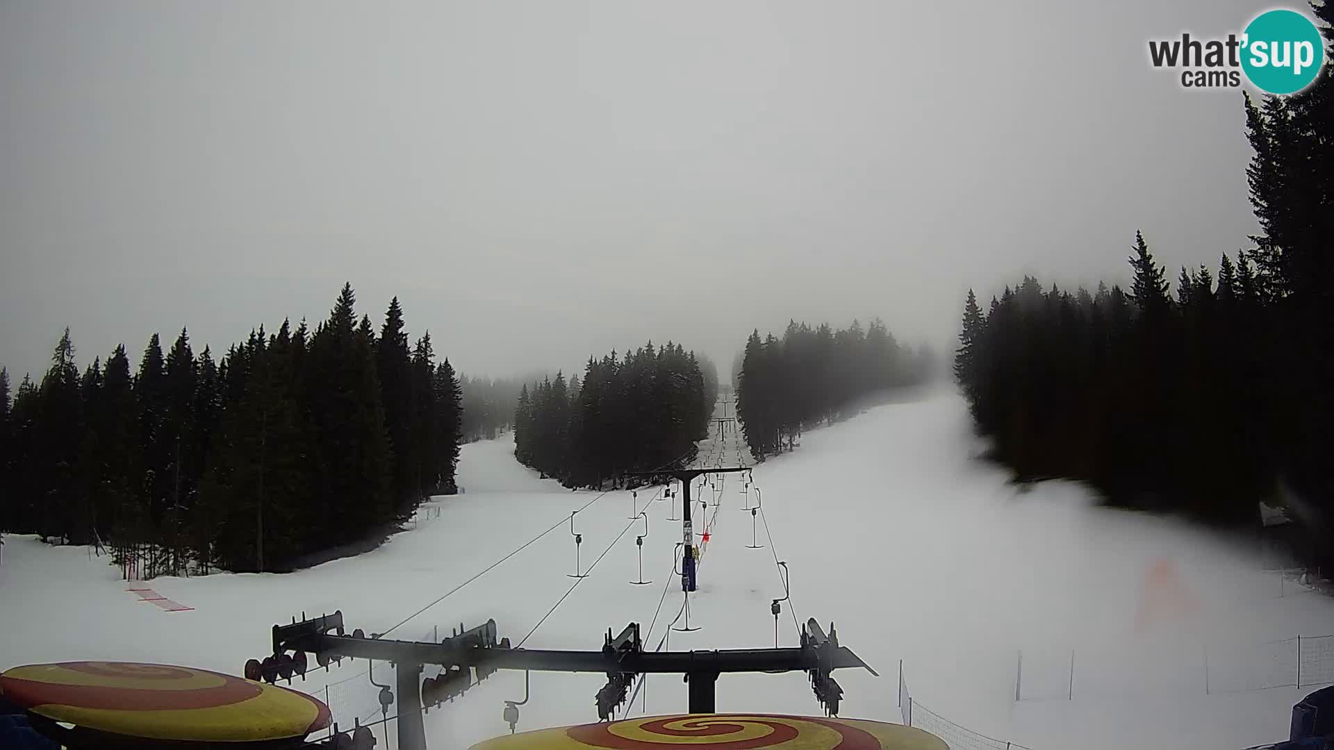 Estación de esquí Rogla Webcam Ostruščica pistas 1 y 2