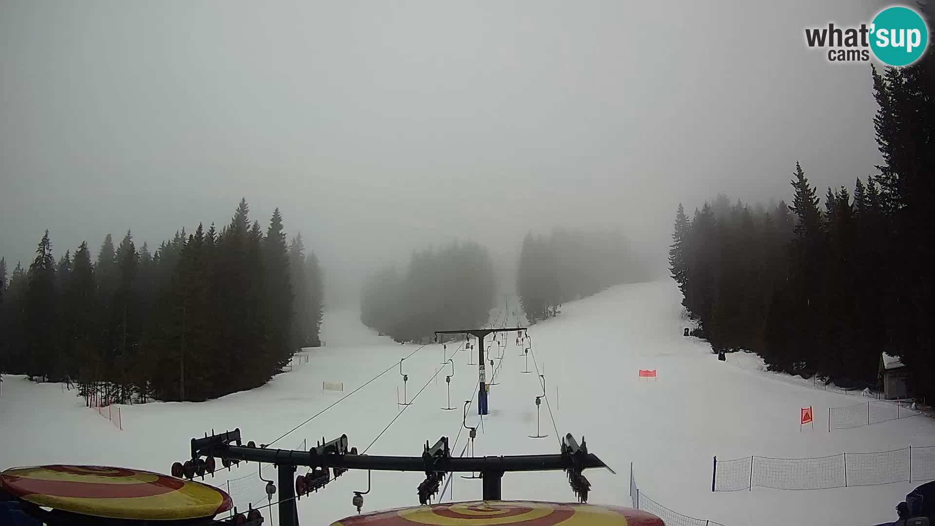 Skigebiet Rogla Webcam Ostruščica Piste 1 und 2