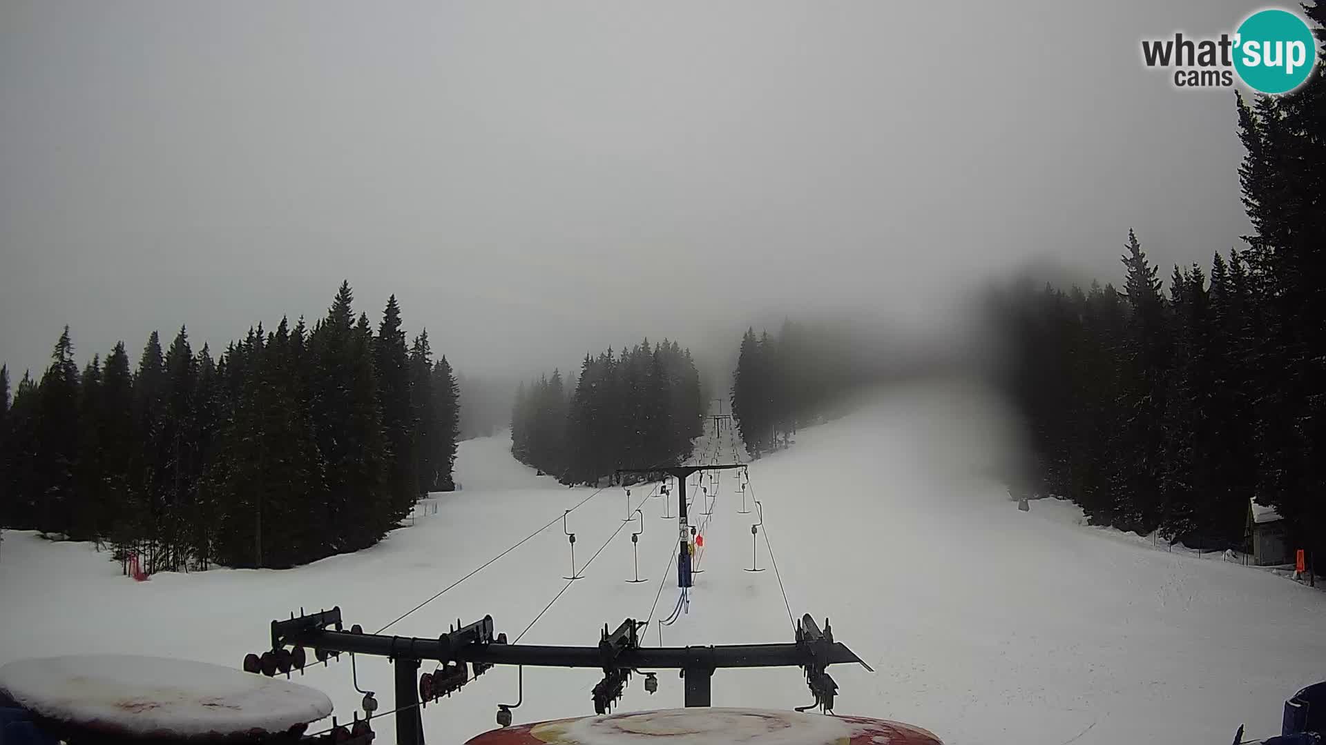 Comprensorio sciistico Rogla Webcam live Ostruščica piste 1 e 2