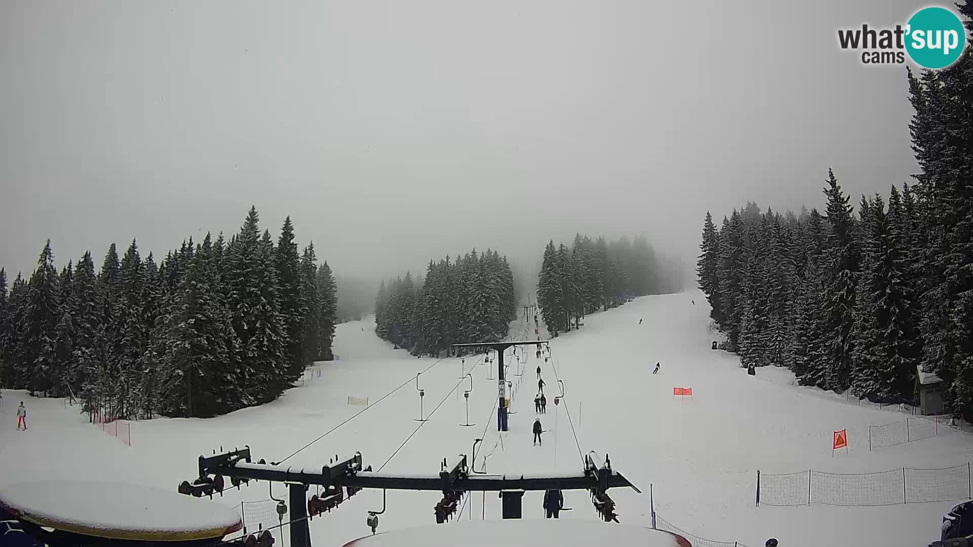 Skigebiet Rogla Webcam Ostruščica Piste 1 und 2