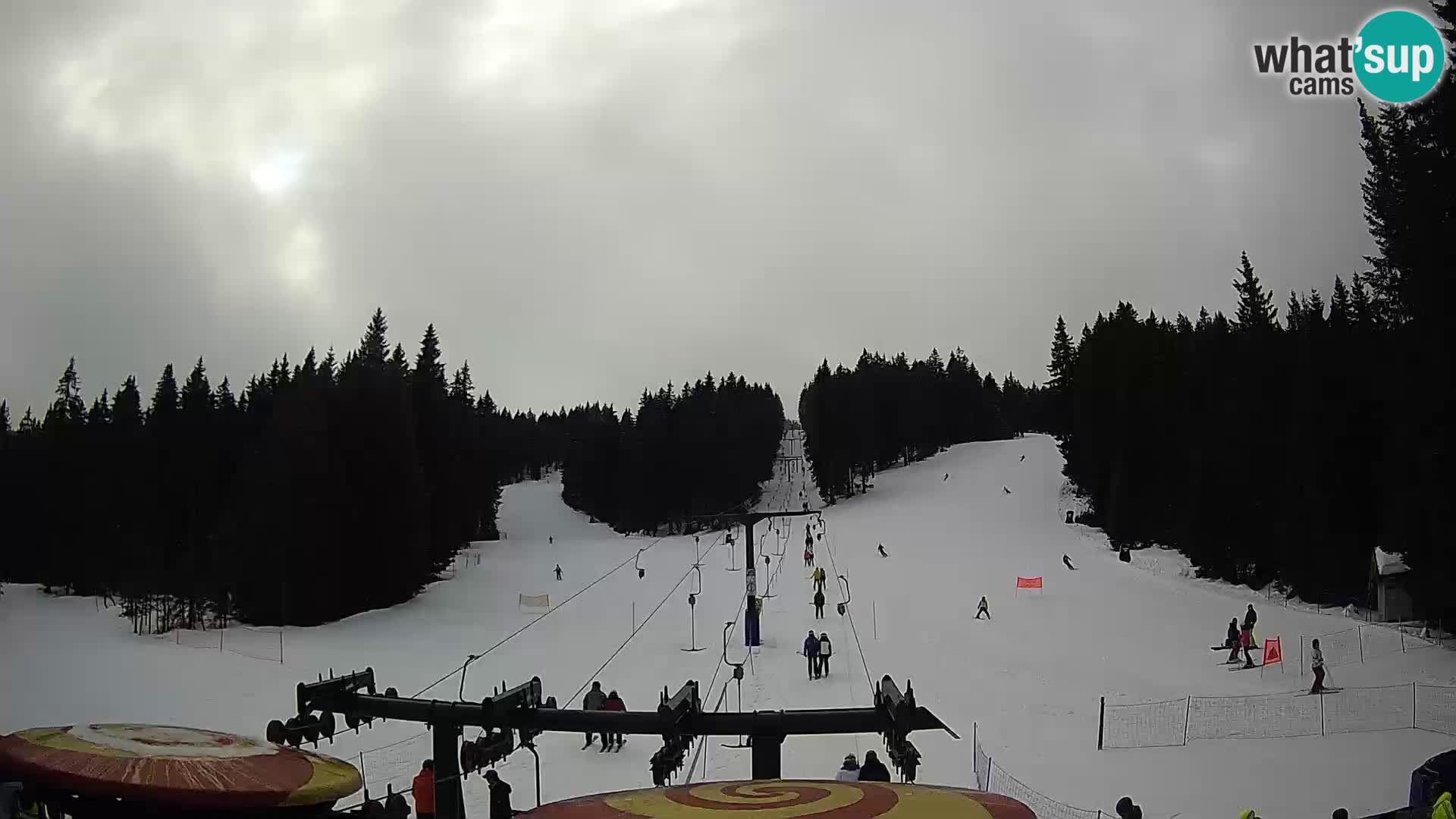 Webcam Live Rogla ski resort – Ostruščica