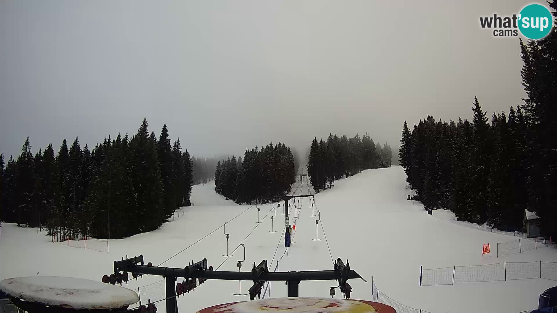 Comprensorio sciistico Rogla Webcam live Ostruščica piste 1 e 2