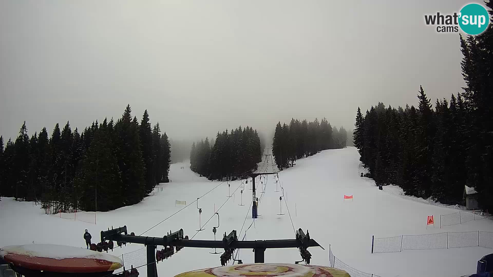 Station de ski Rogla Webcam Ostruščica pistes 1 et 2
