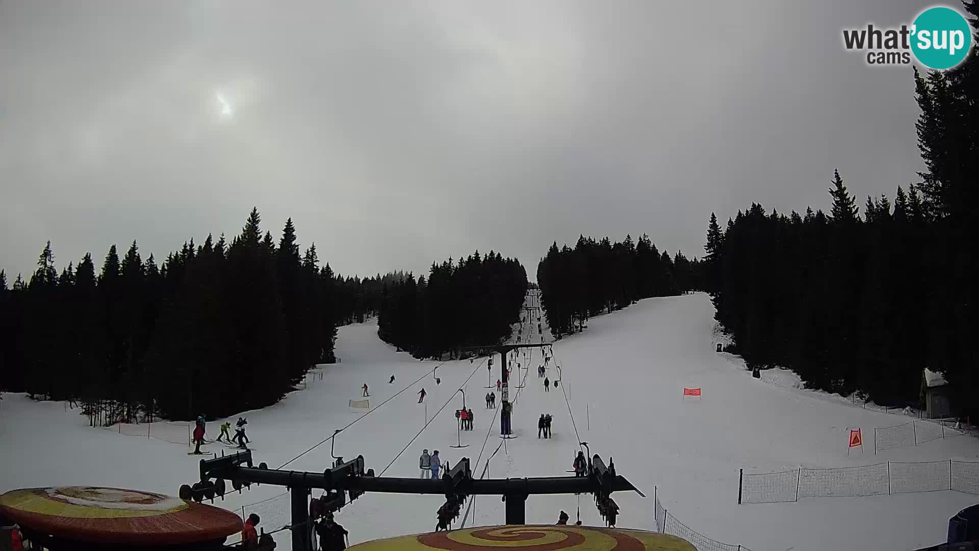Comprensorio sciistico Rogla Webcam live Ostruščica piste 1 e 2