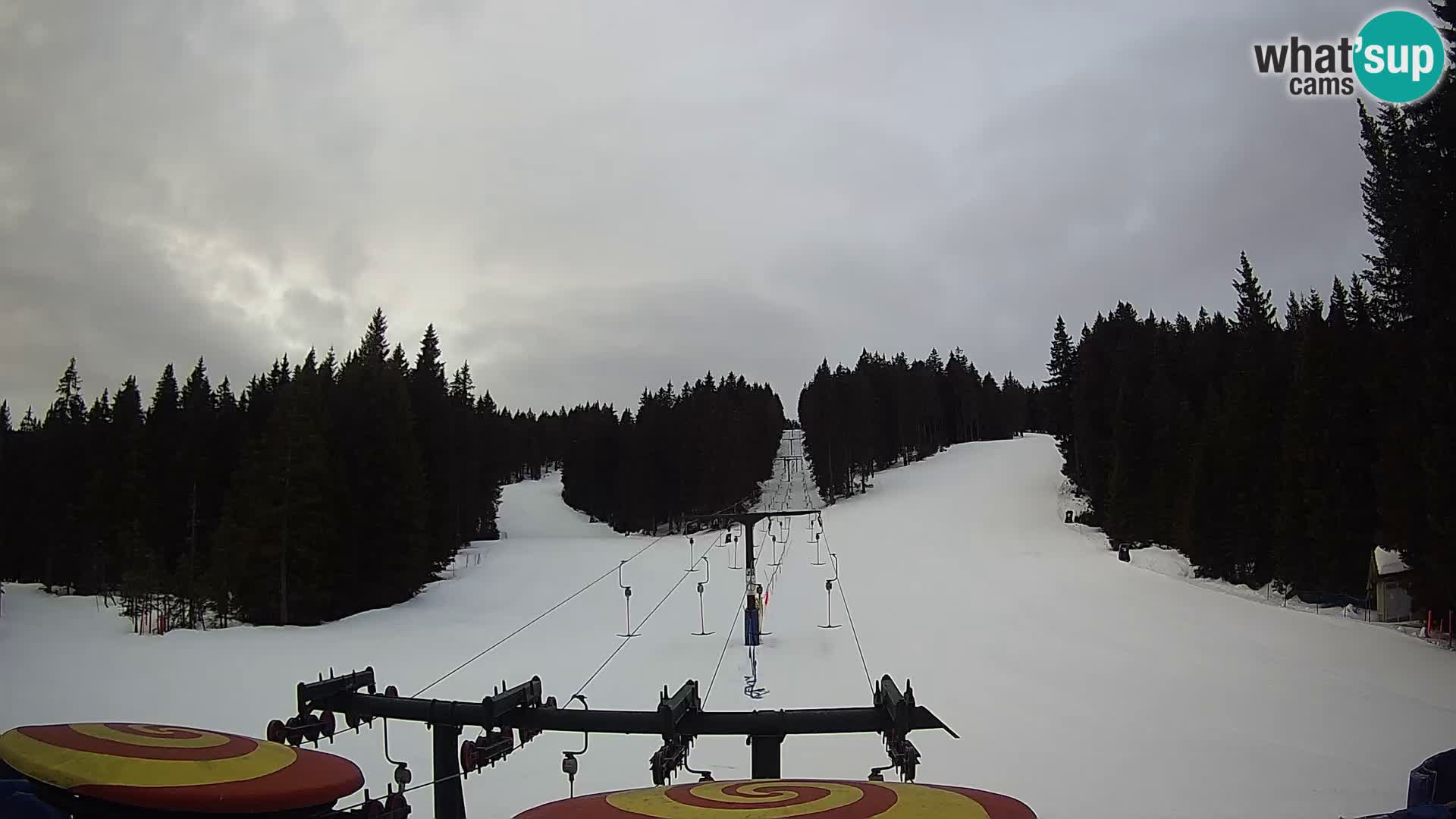 Comprensorio sciistico Rogla Webcam live Ostruščica piste 1 e 2