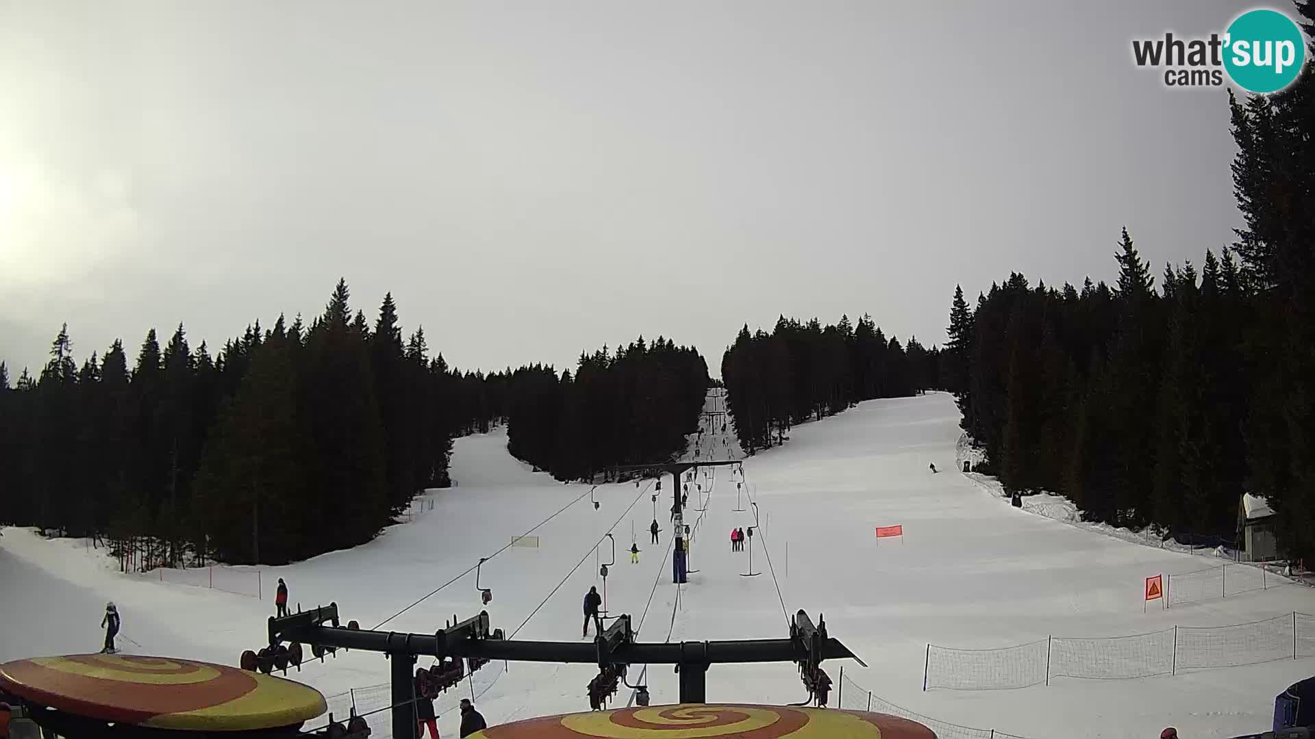 Estación de esquí Rogla Webcam Ostruščica pistas 1 y 2