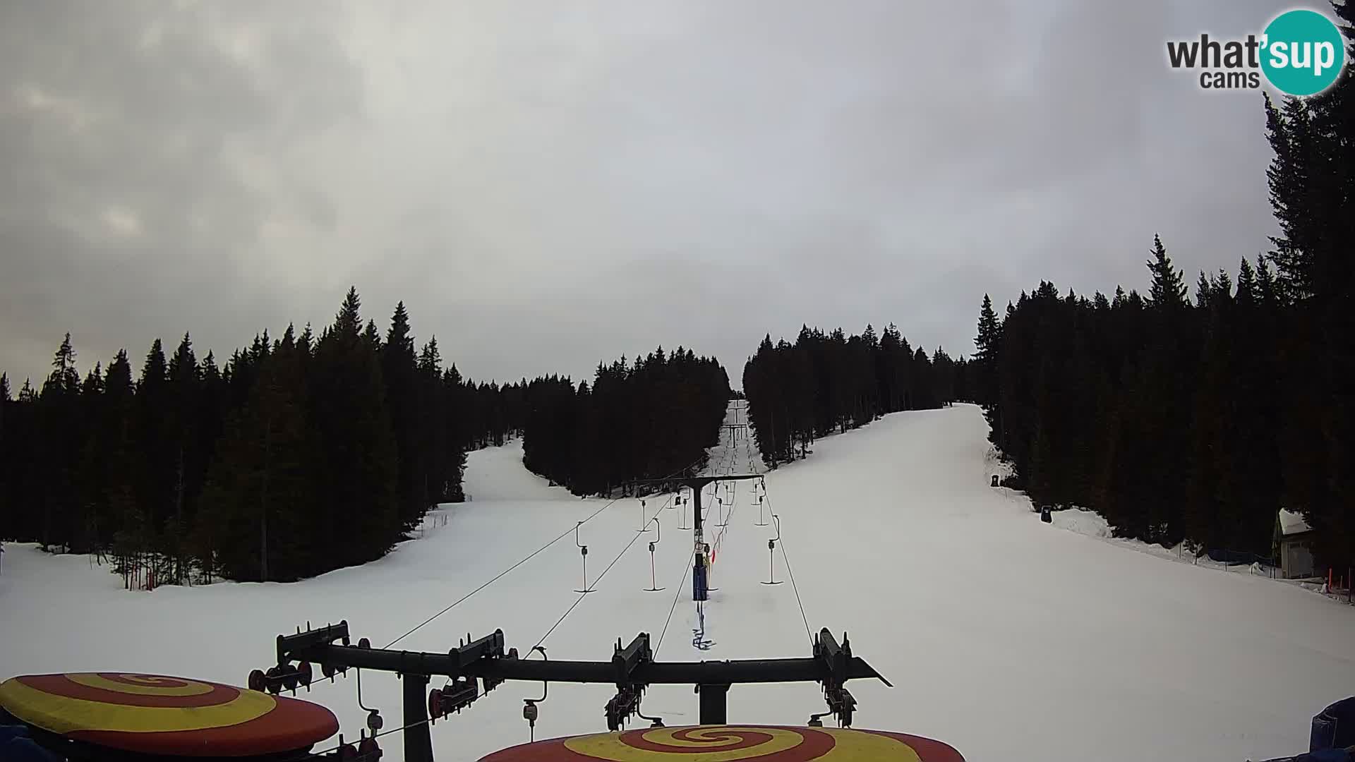 Comprensorio sciistico Rogla Webcam live Ostruščica piste 1 e 2