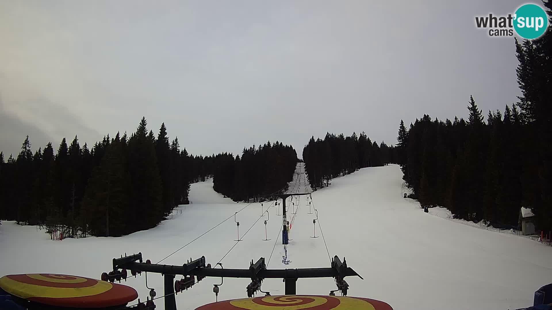 Webcam Live Rogla ski resort – Ostruščica